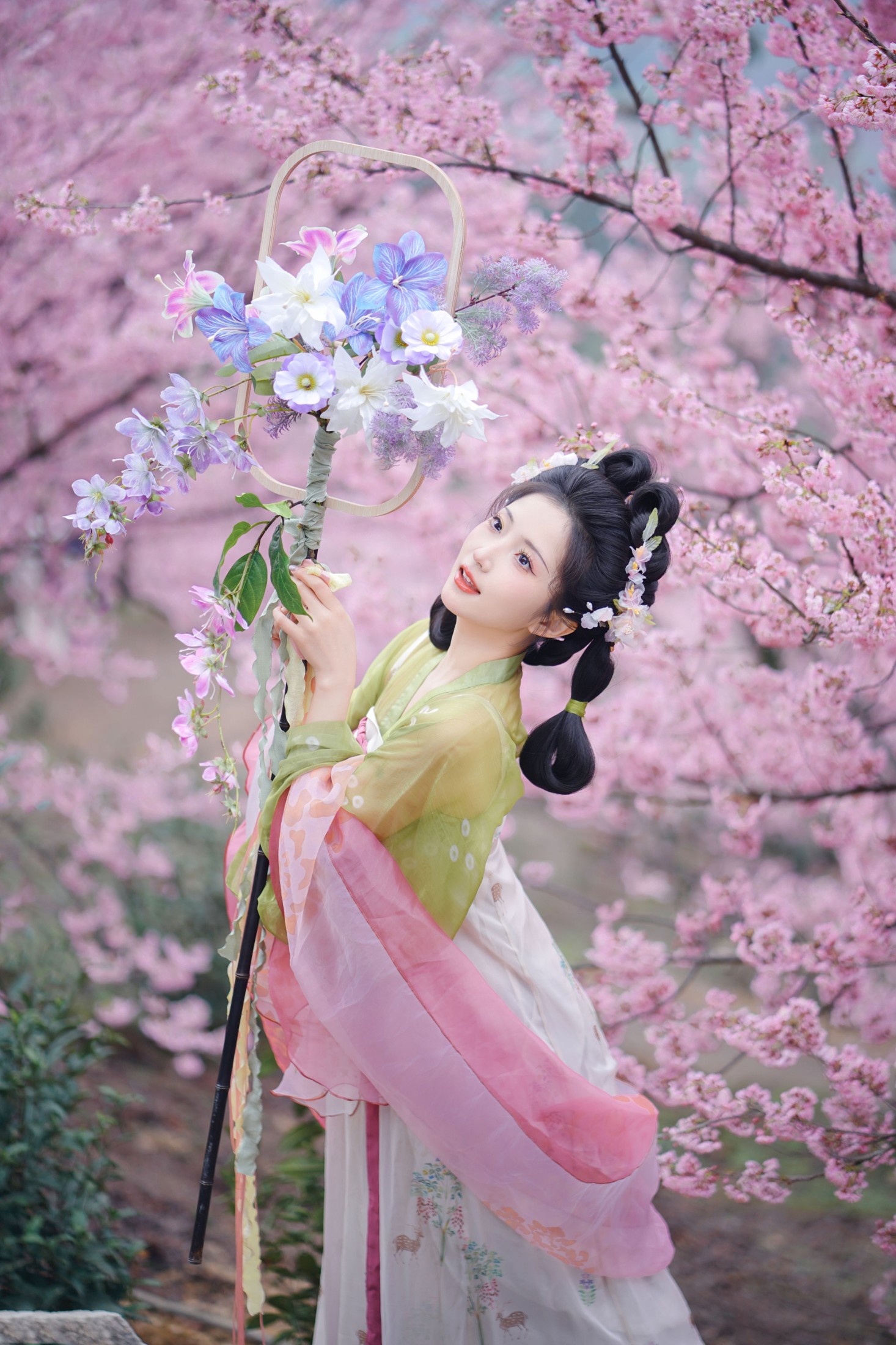 兔牙w – 《樱花少女》[20P]