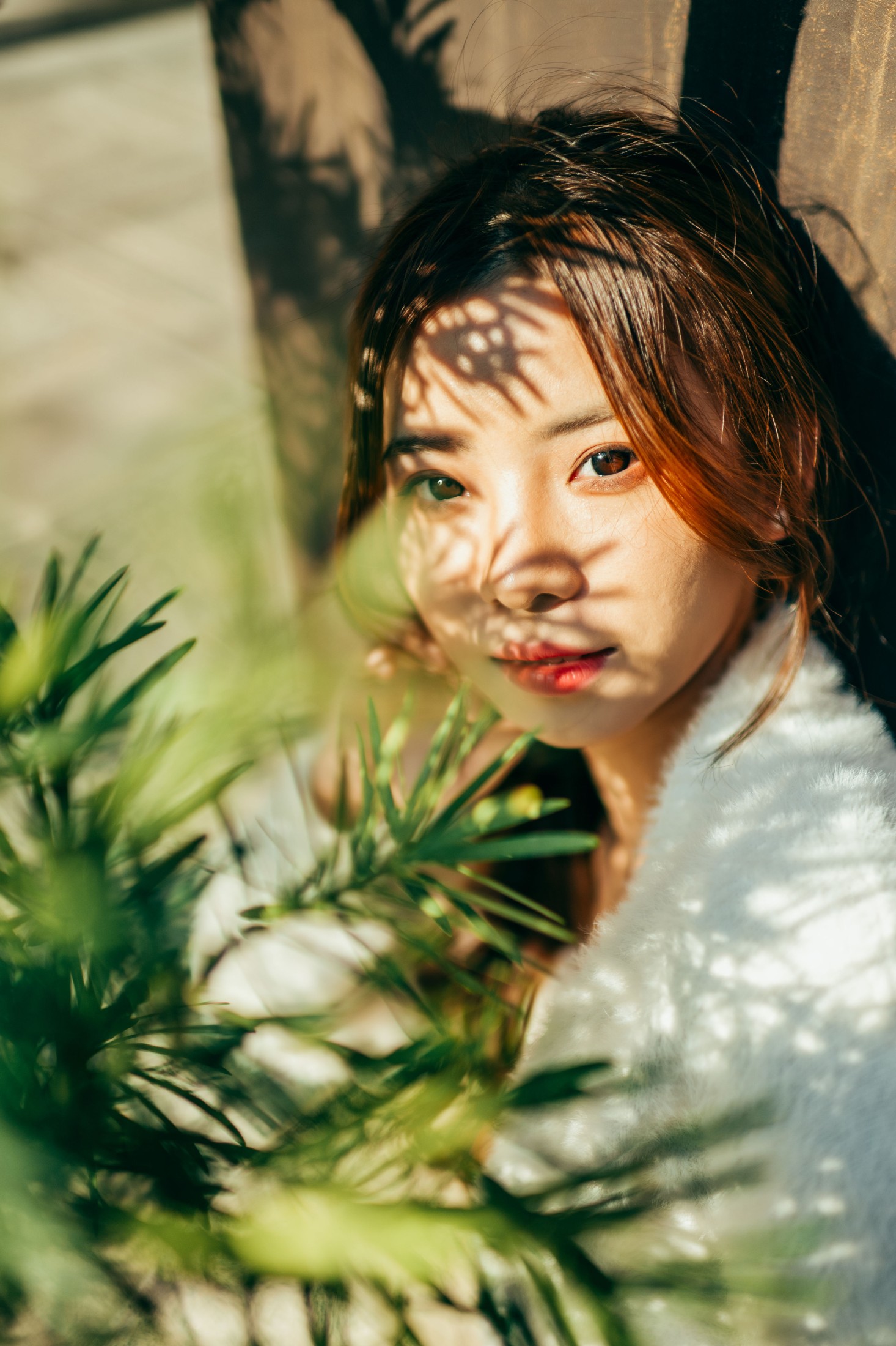 章鱼 – 《赤松宫》[20P]