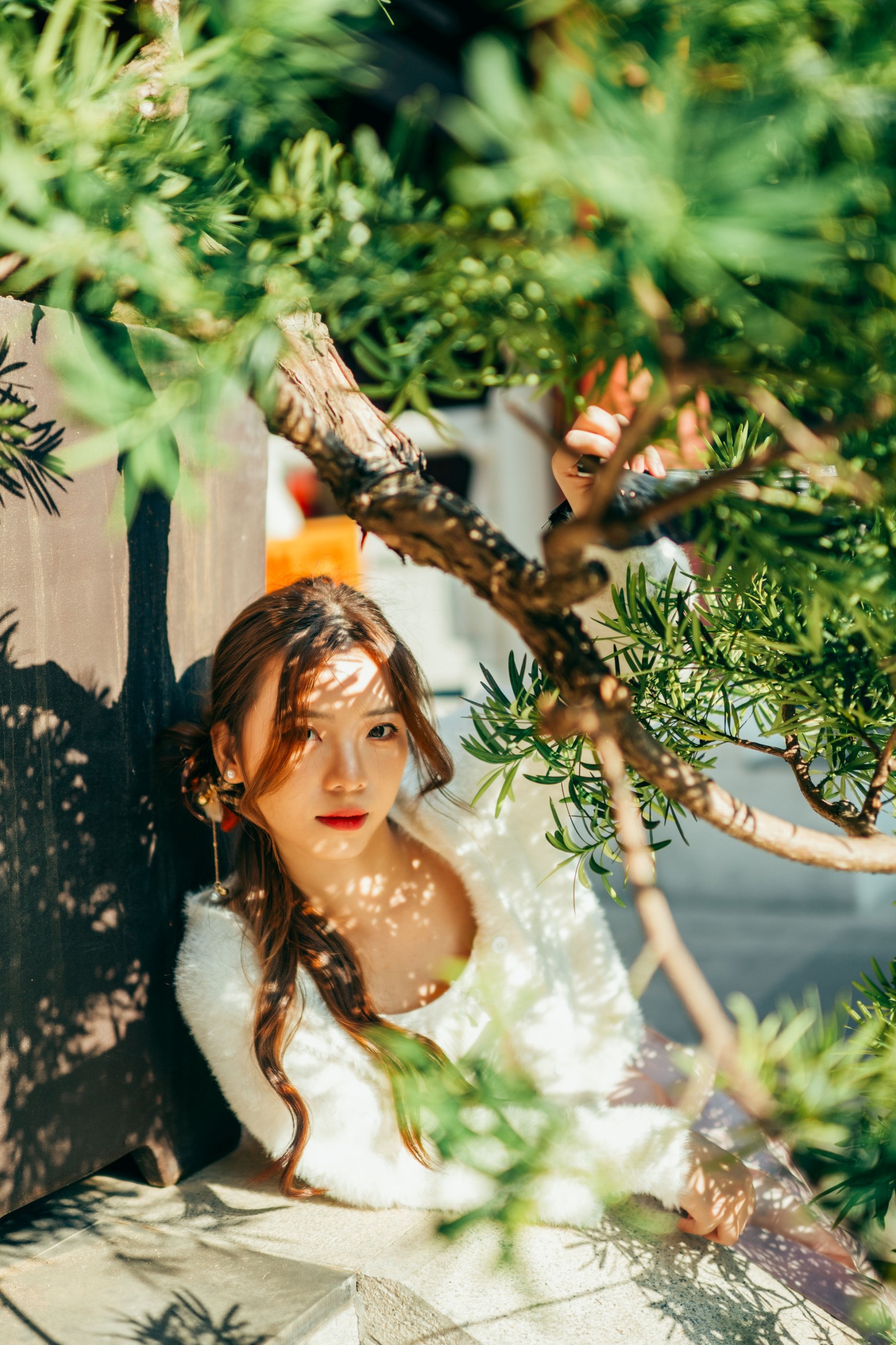 章鱼 – 《赤松宫》[20P]