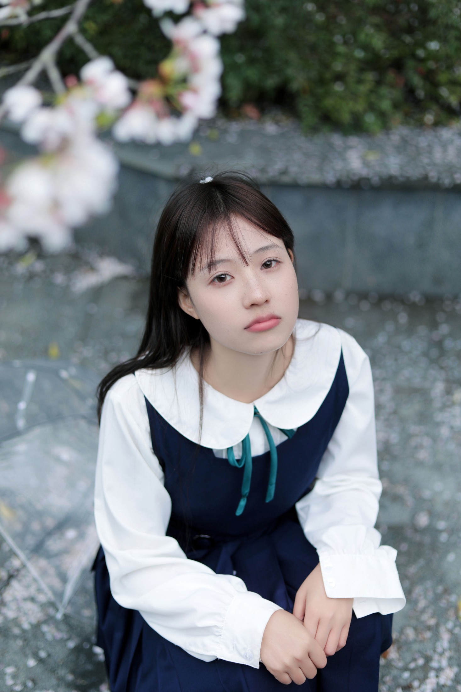 – 《春日礼赞》[35P]