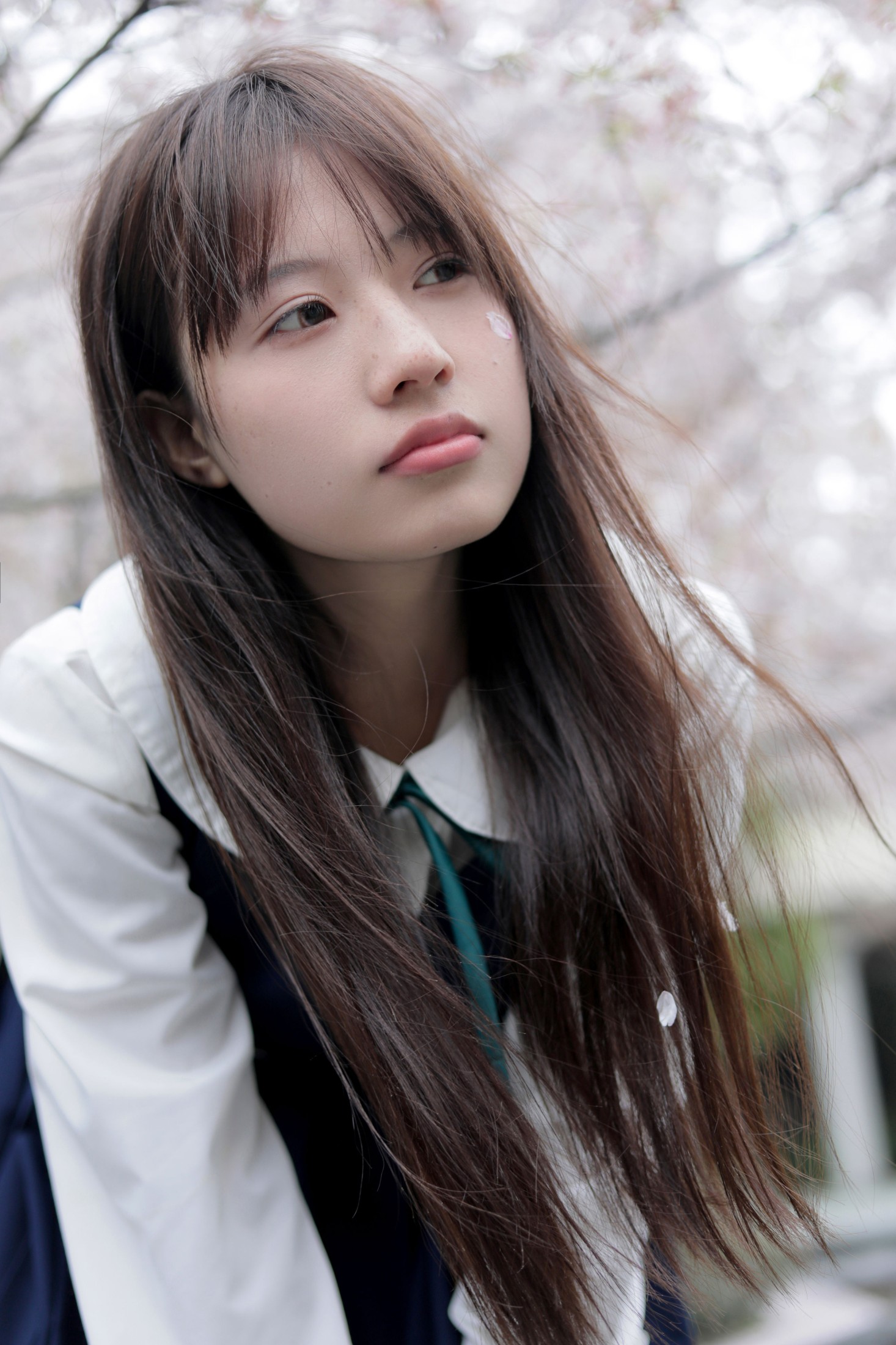 – 《春日礼赞》[35P]