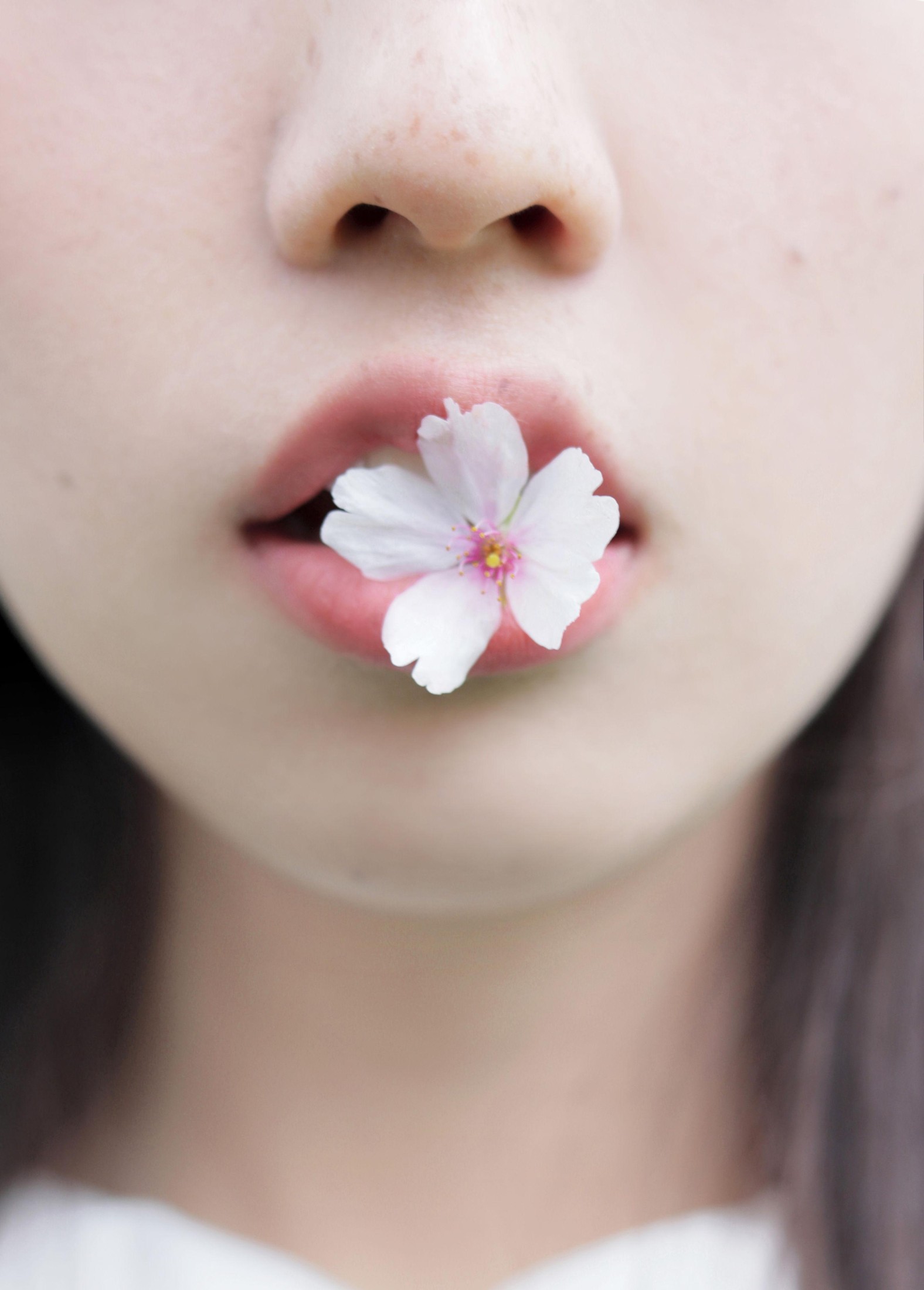 – 《春日礼赞》[35P]