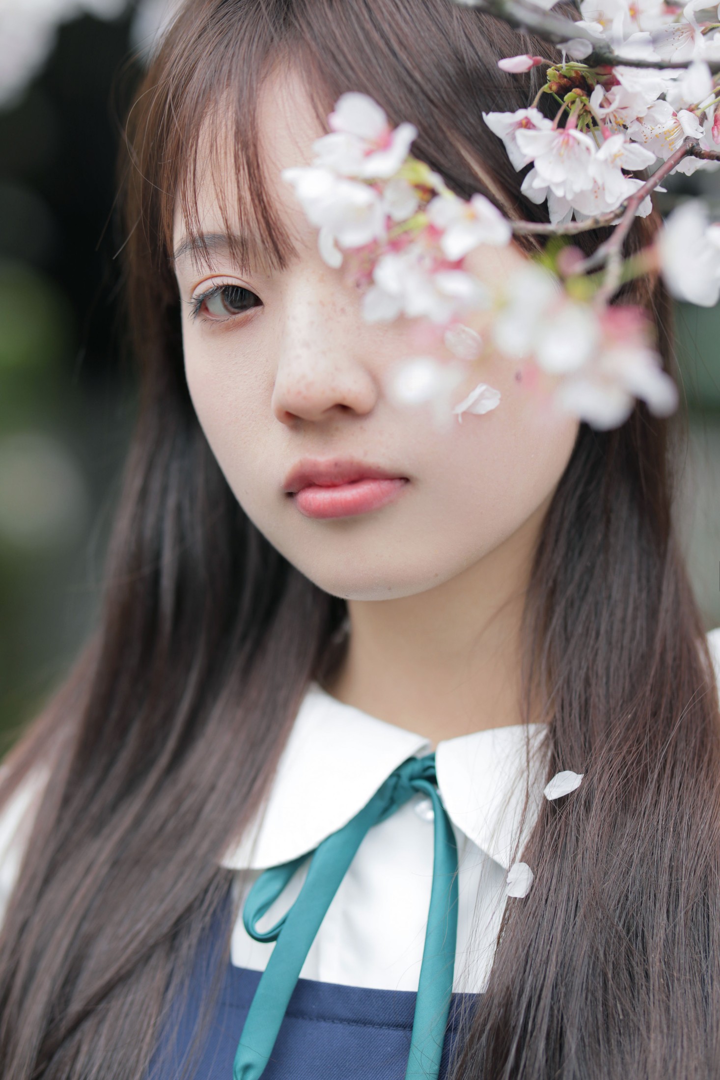 – 《春日礼赞》[35P]