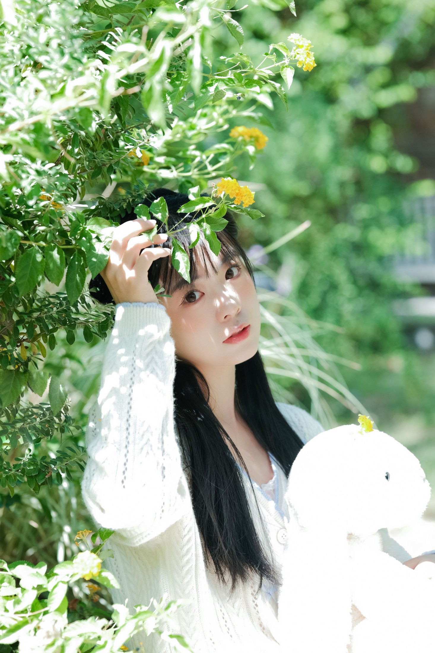 一只暖暖 – 《春天的漩涡》[25P]