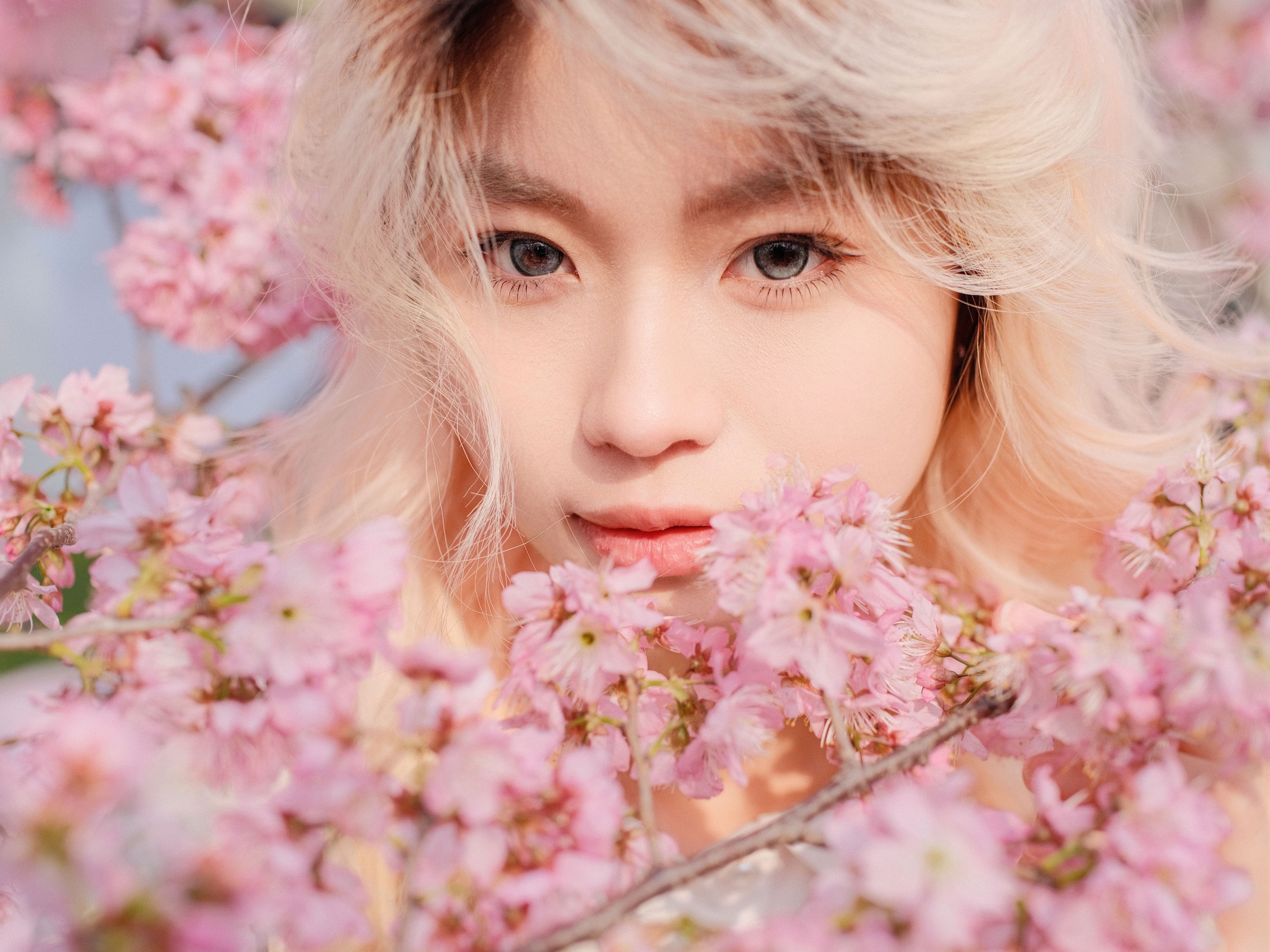 点点 – 《樱花树下》[16P]