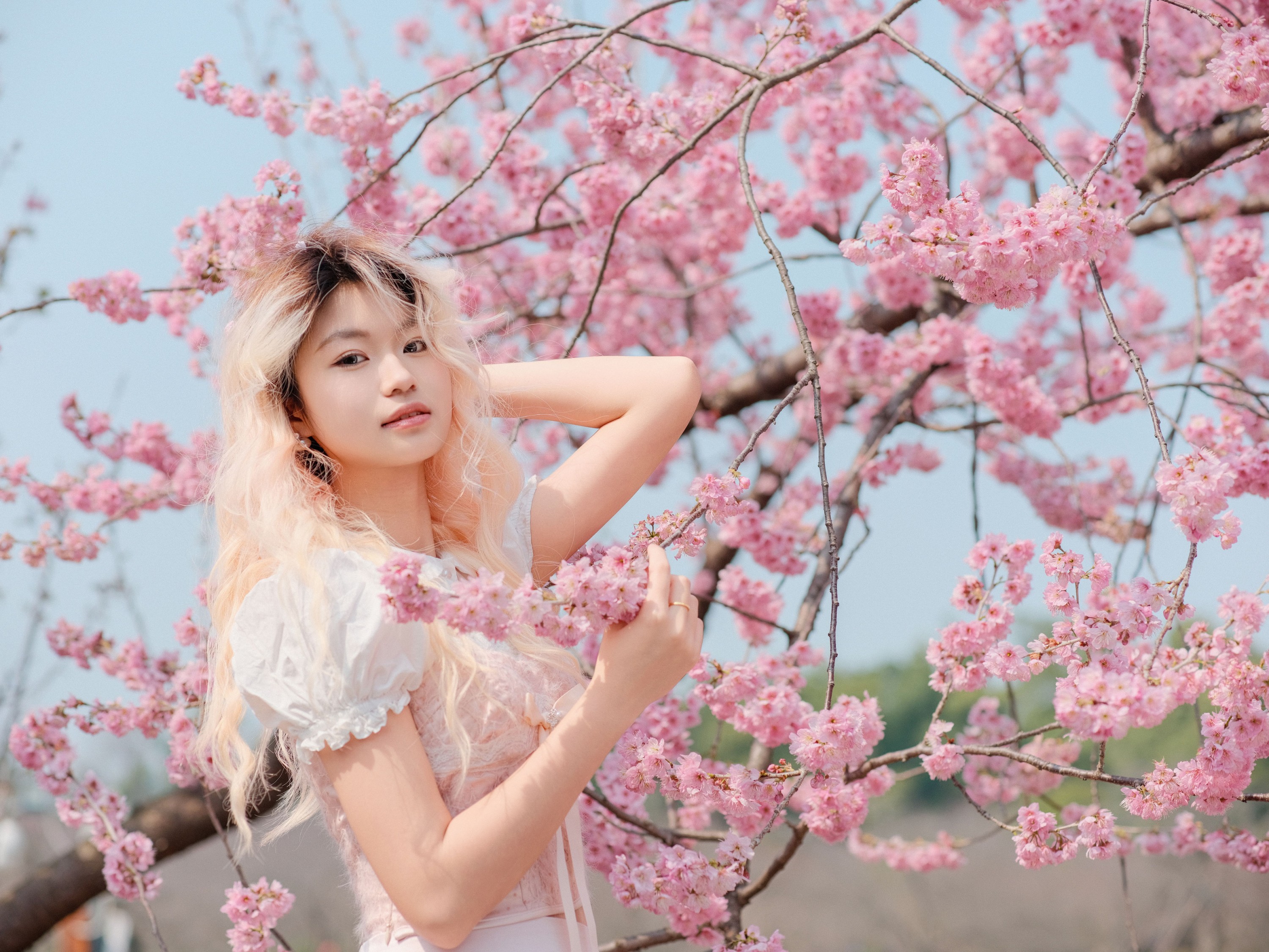 点点 – 《樱花树下》[16P]