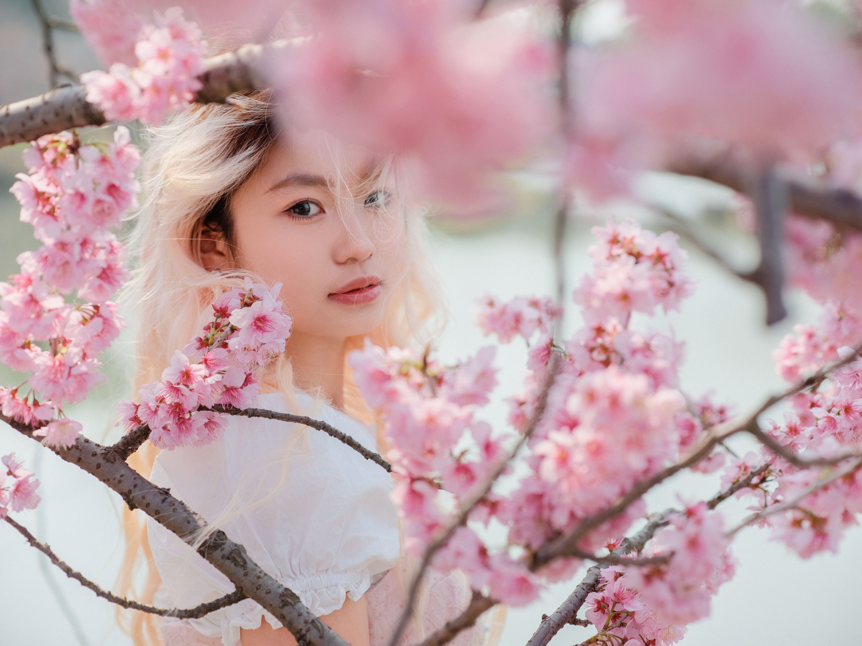 点点 – 《樱花树下》[16P]