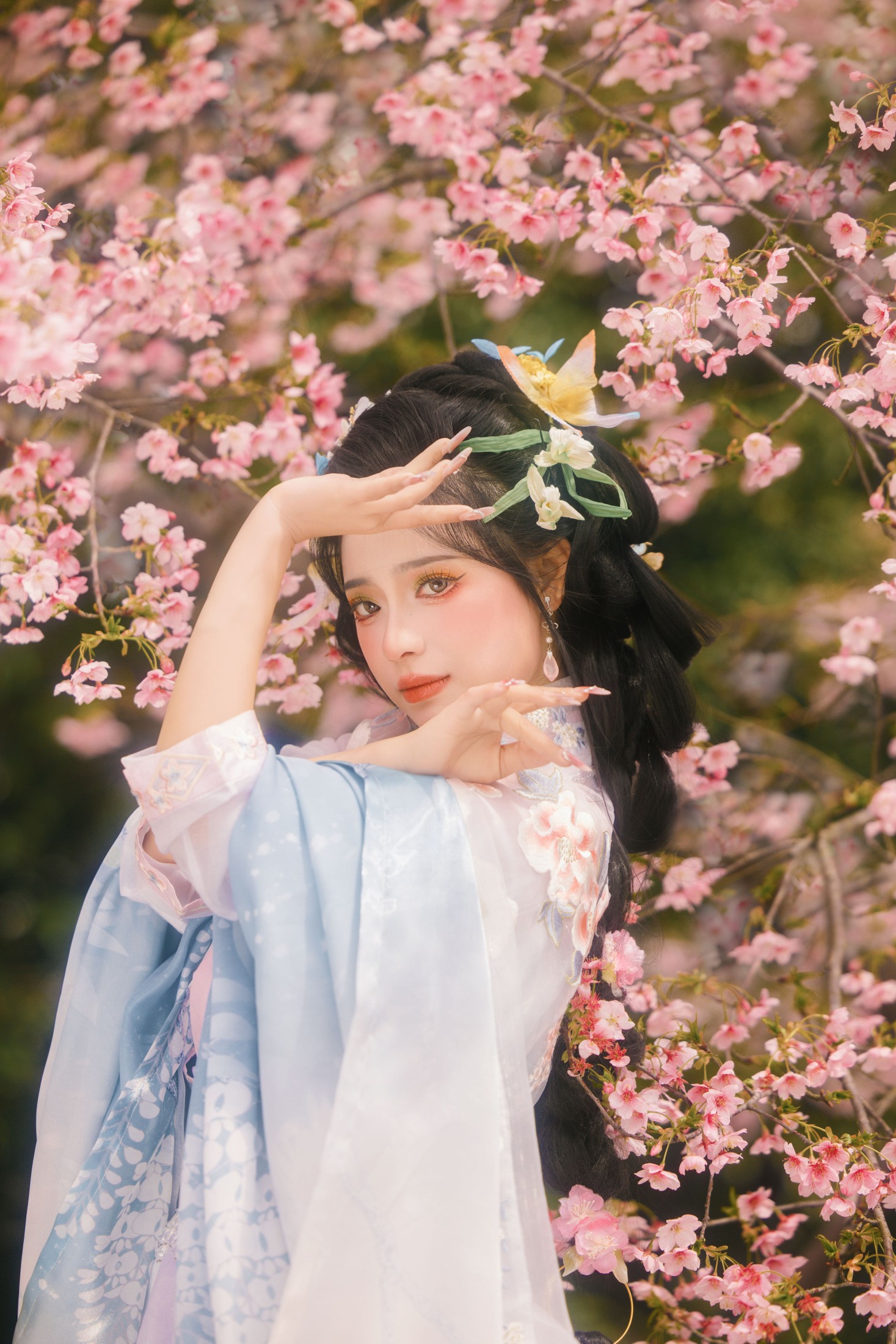 衔鹿 – 《樱花雨》[18P]