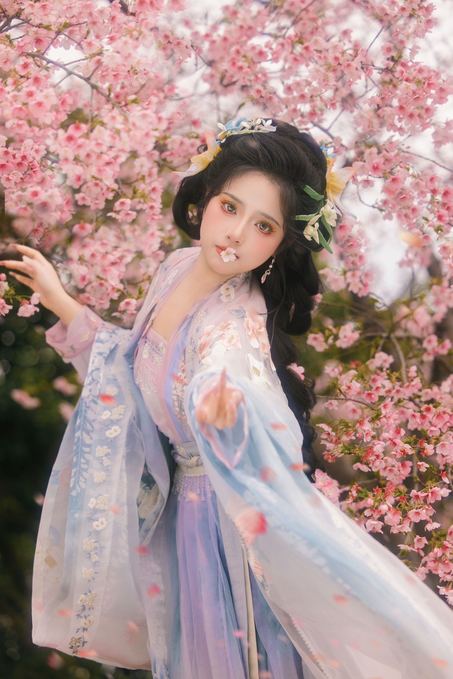 衔鹿 – 《樱花雨》[18P]