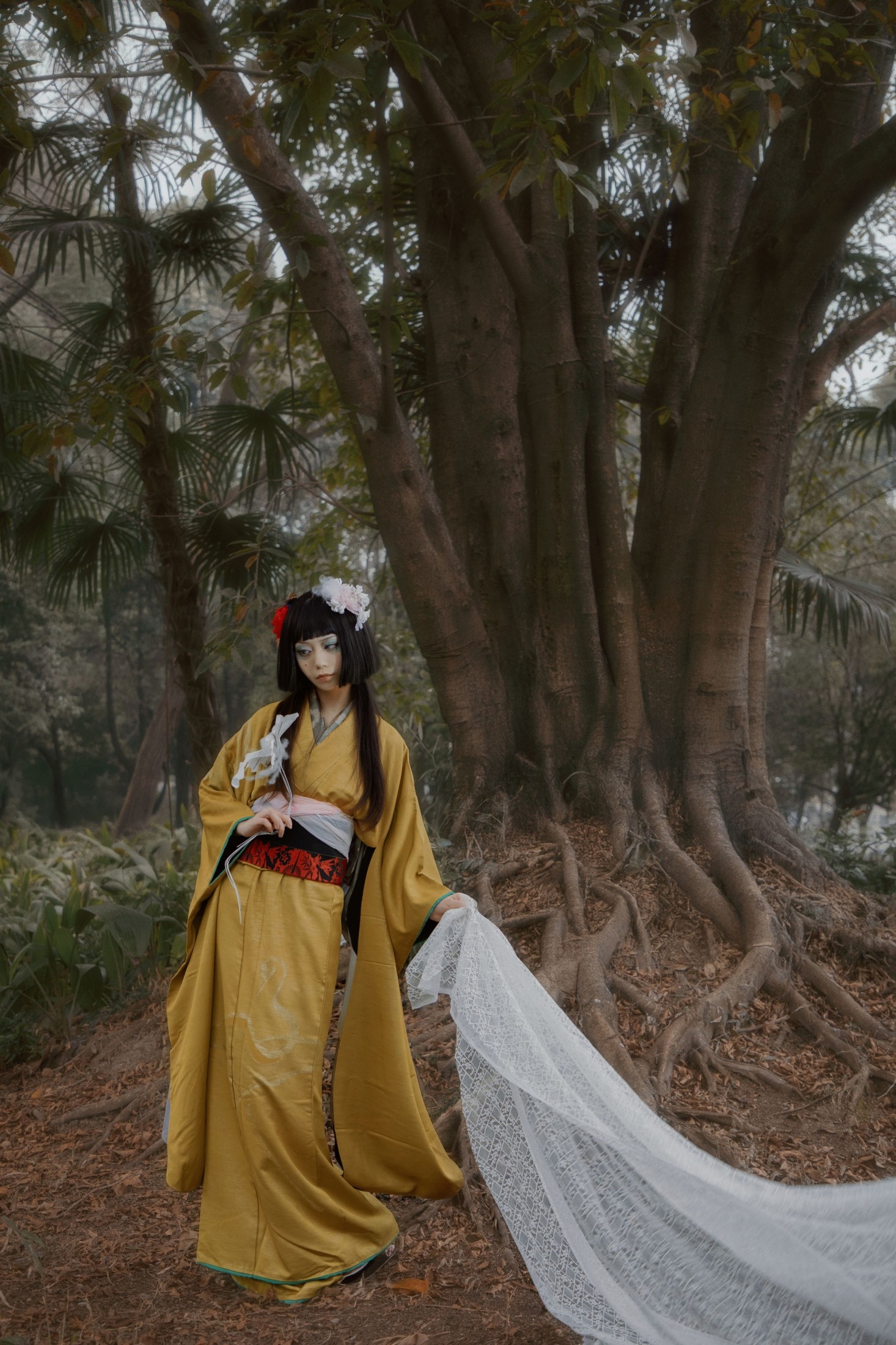 兔坂 – 《蝶匣遗梦》[15P]