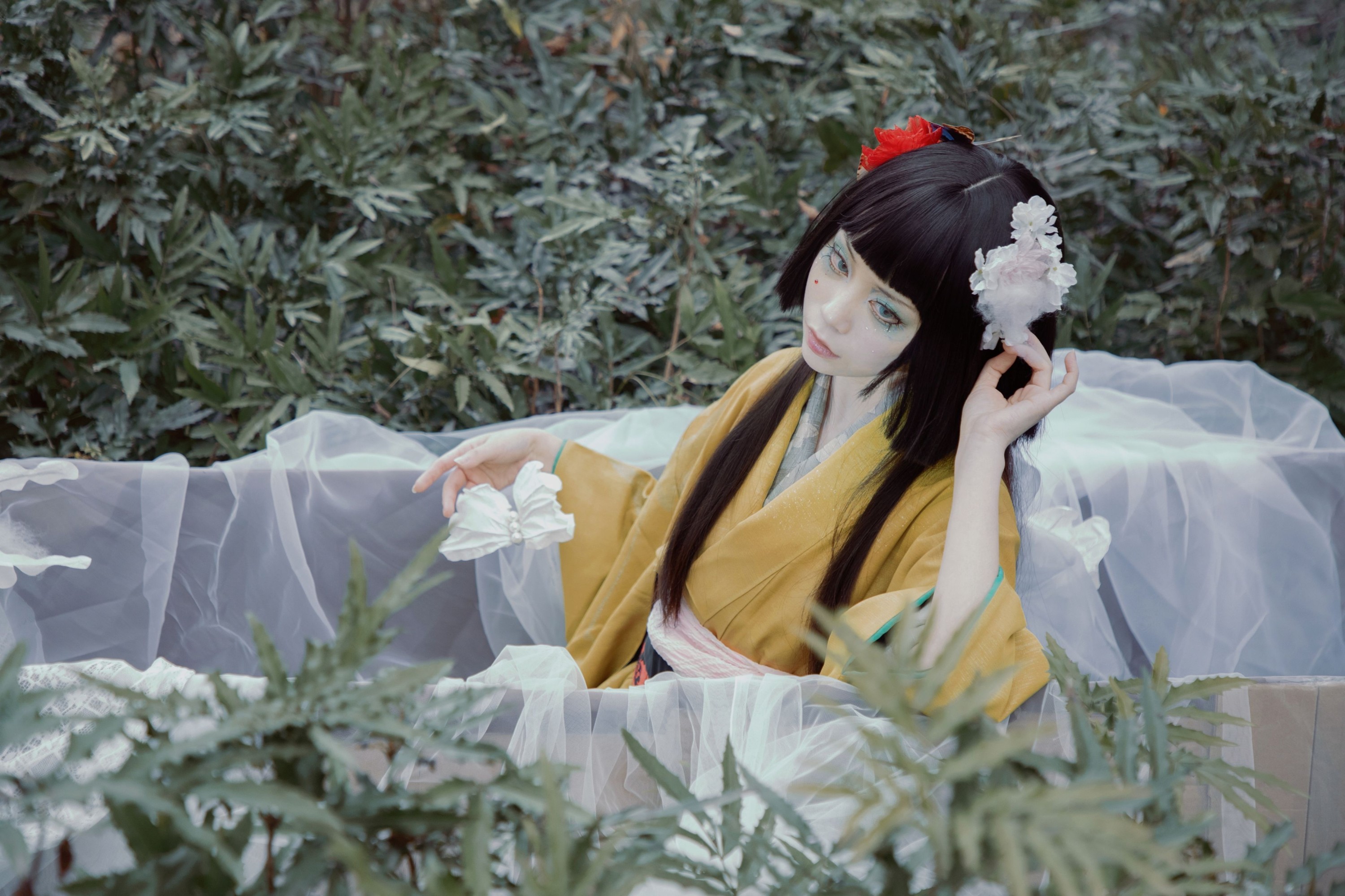 兔坂 – 《蝶匣遗梦》[15P]