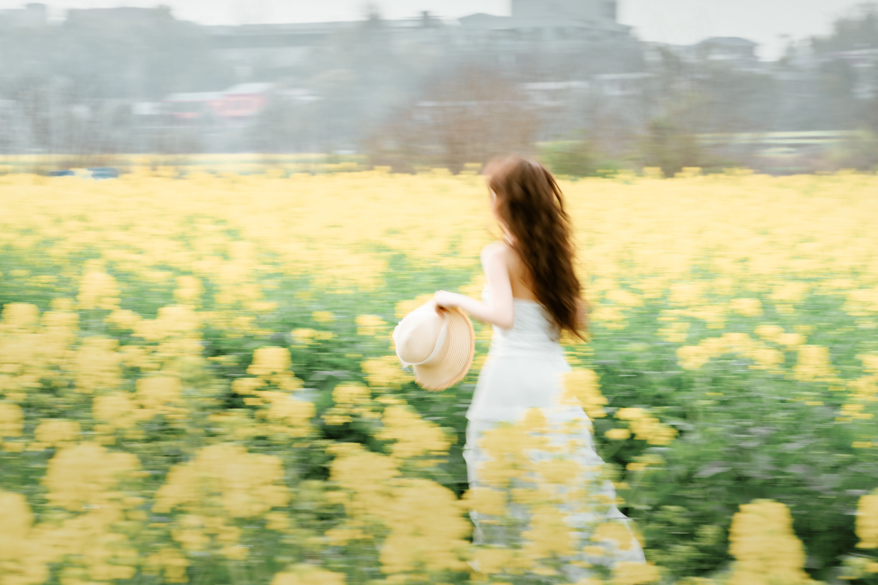 什么时候养小狗 – 《在阴雨天的油菜花田》[29P]