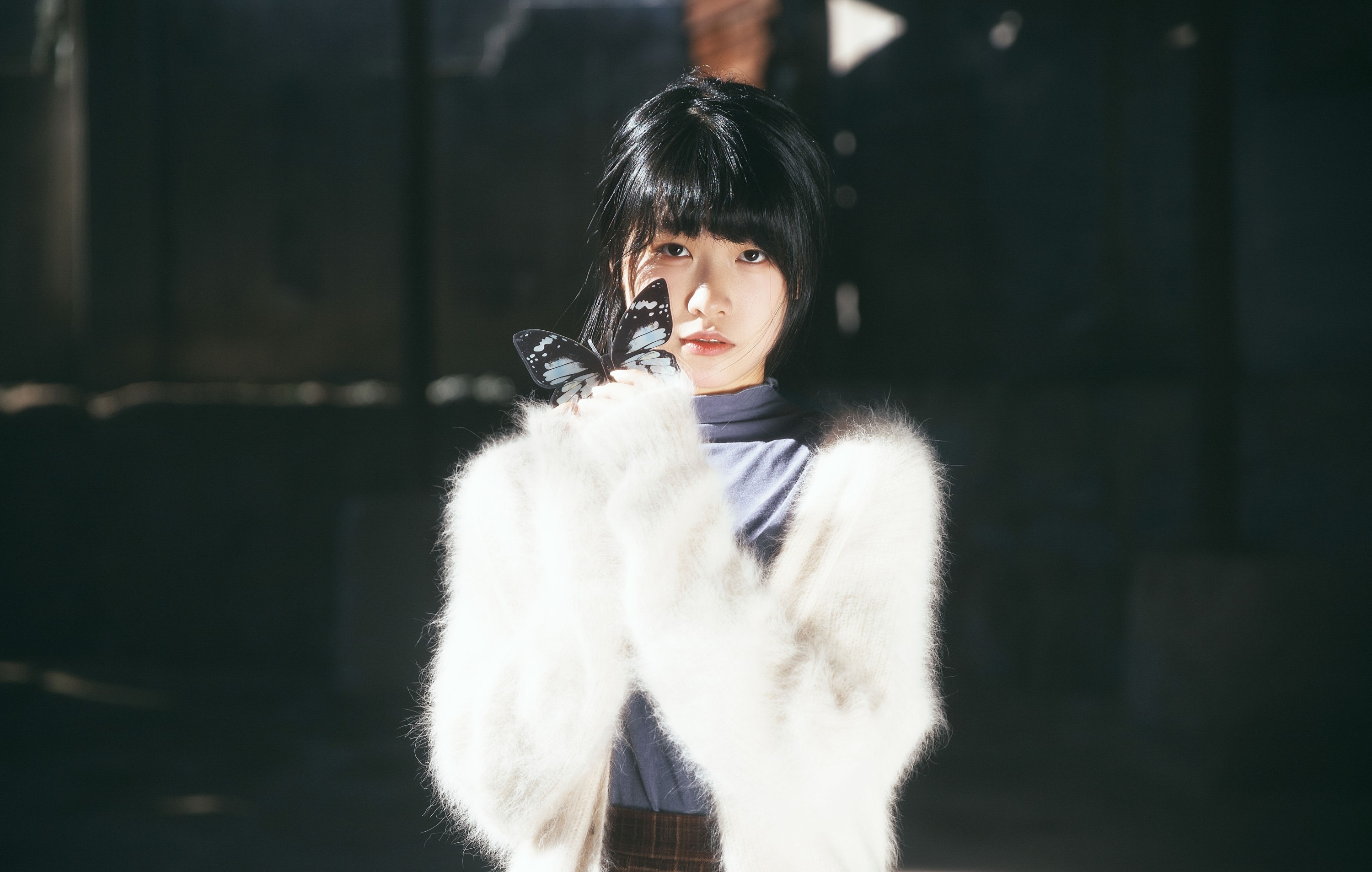 素以兔兔兔 – 《燕尾蝶》[37P]