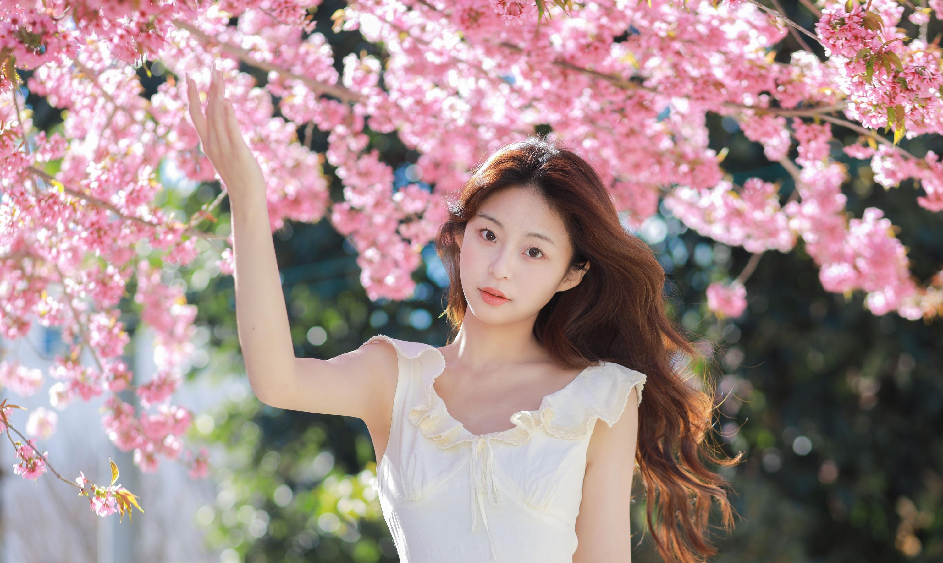 chickkii_ – 《樱花树下的少女》[22P]