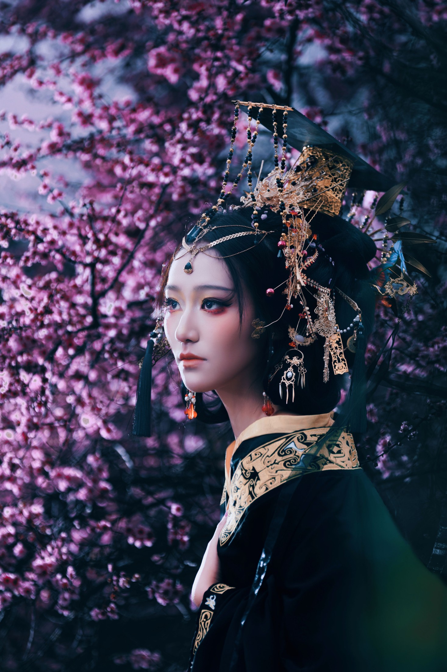 小洪 – 《玄樱赋・暗黑女帝》[45P]