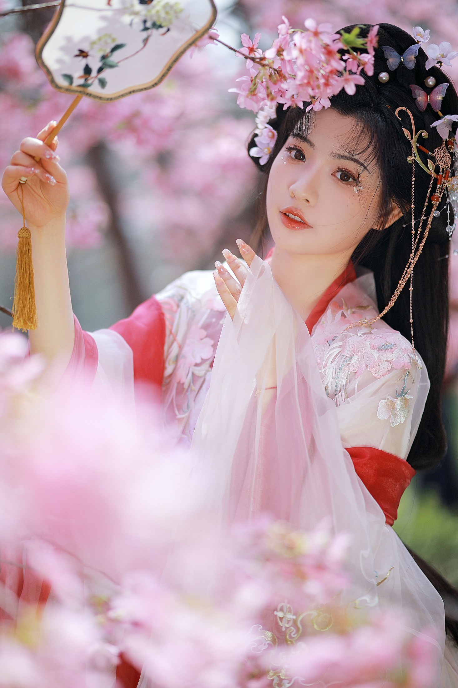 阿冥 – 《樱花仙子》[15P]