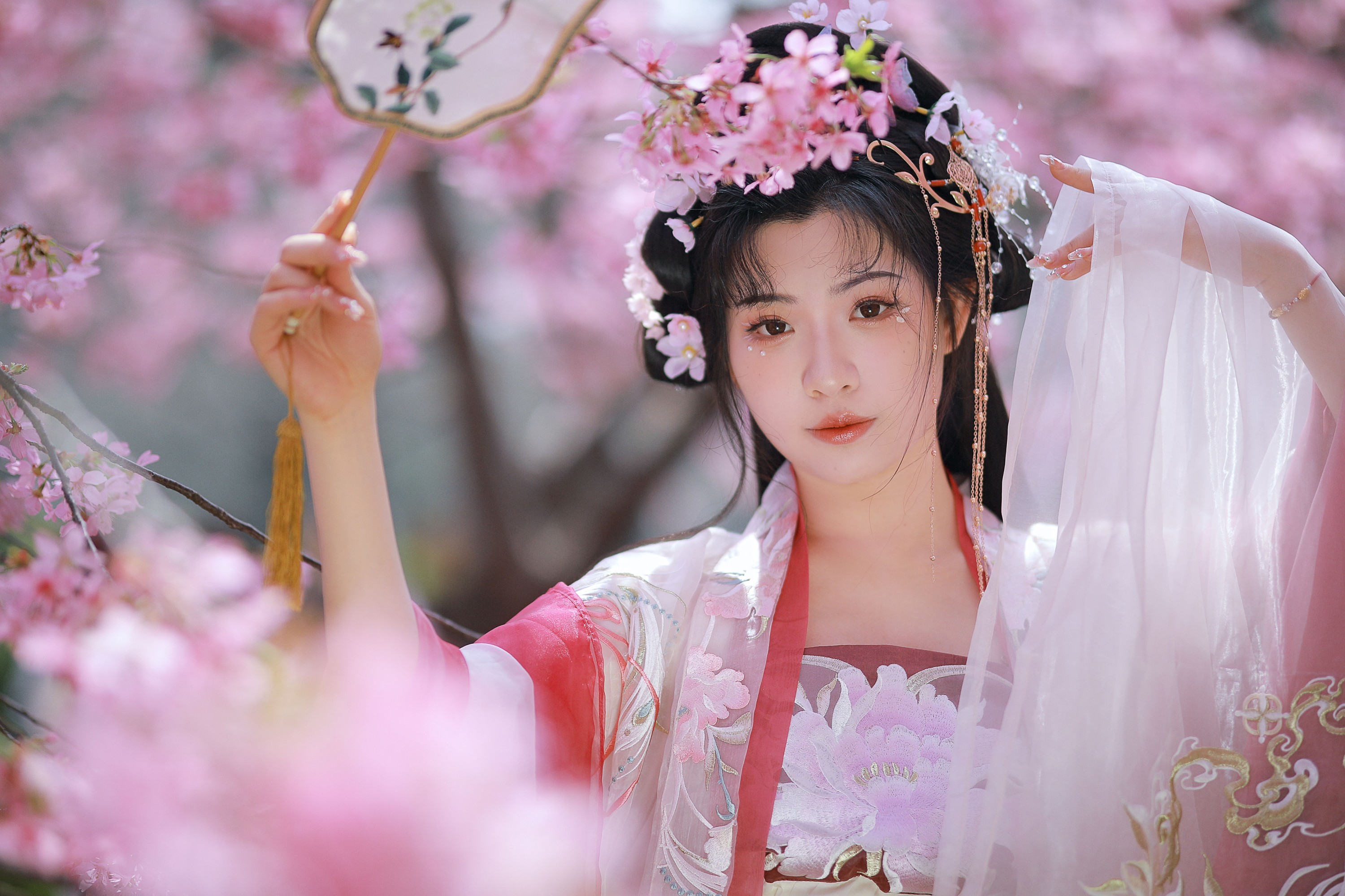 阿冥 – 《樱花仙子》[15P]