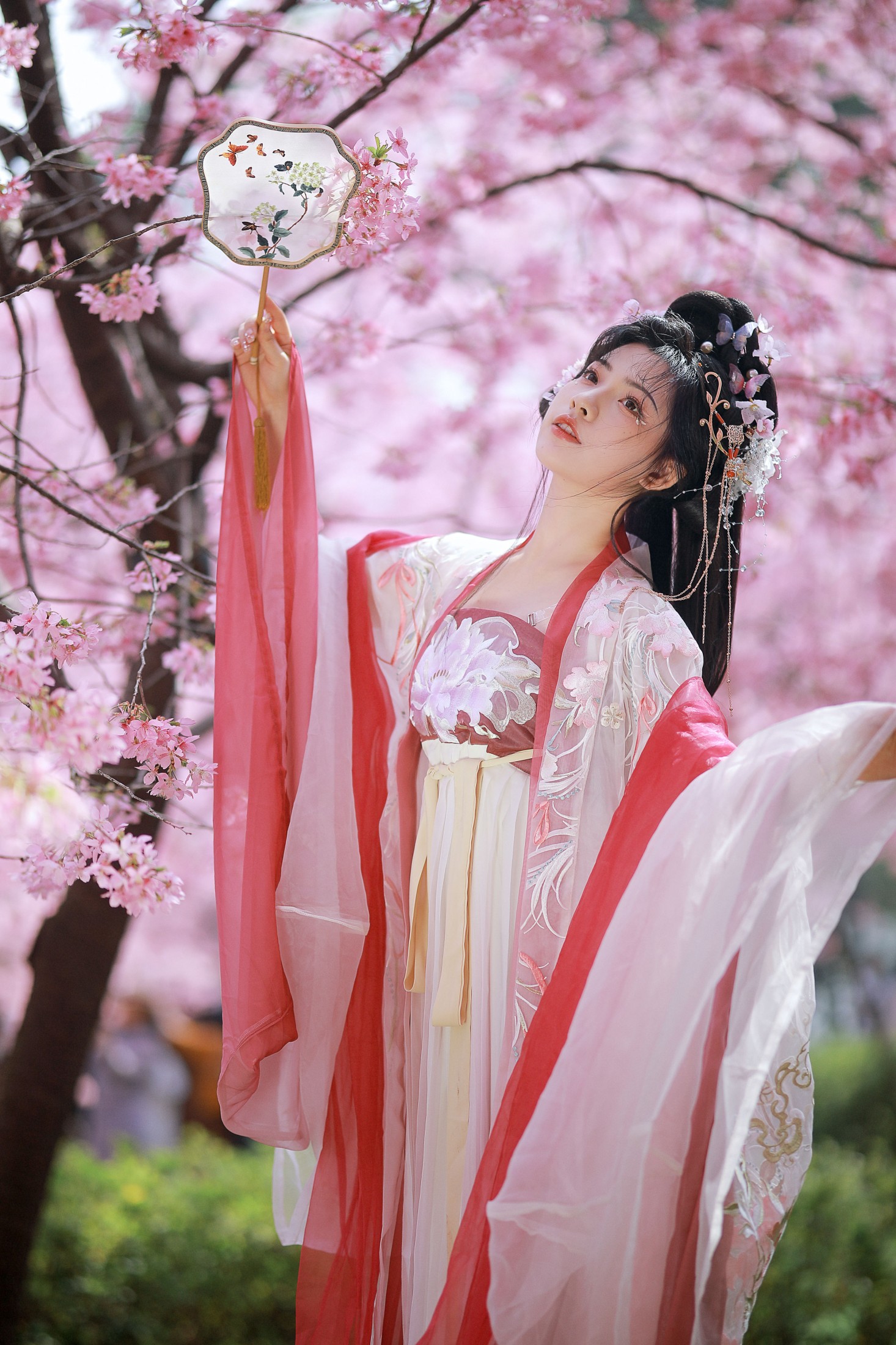 阿冥 – 《樱花仙子》[15P]