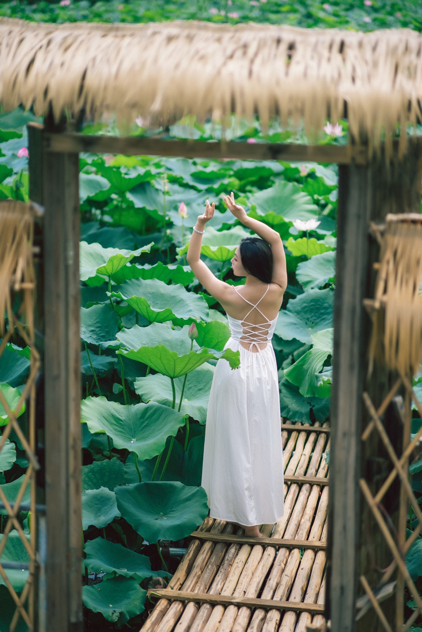 橘子 – 《雨荷》[26P]