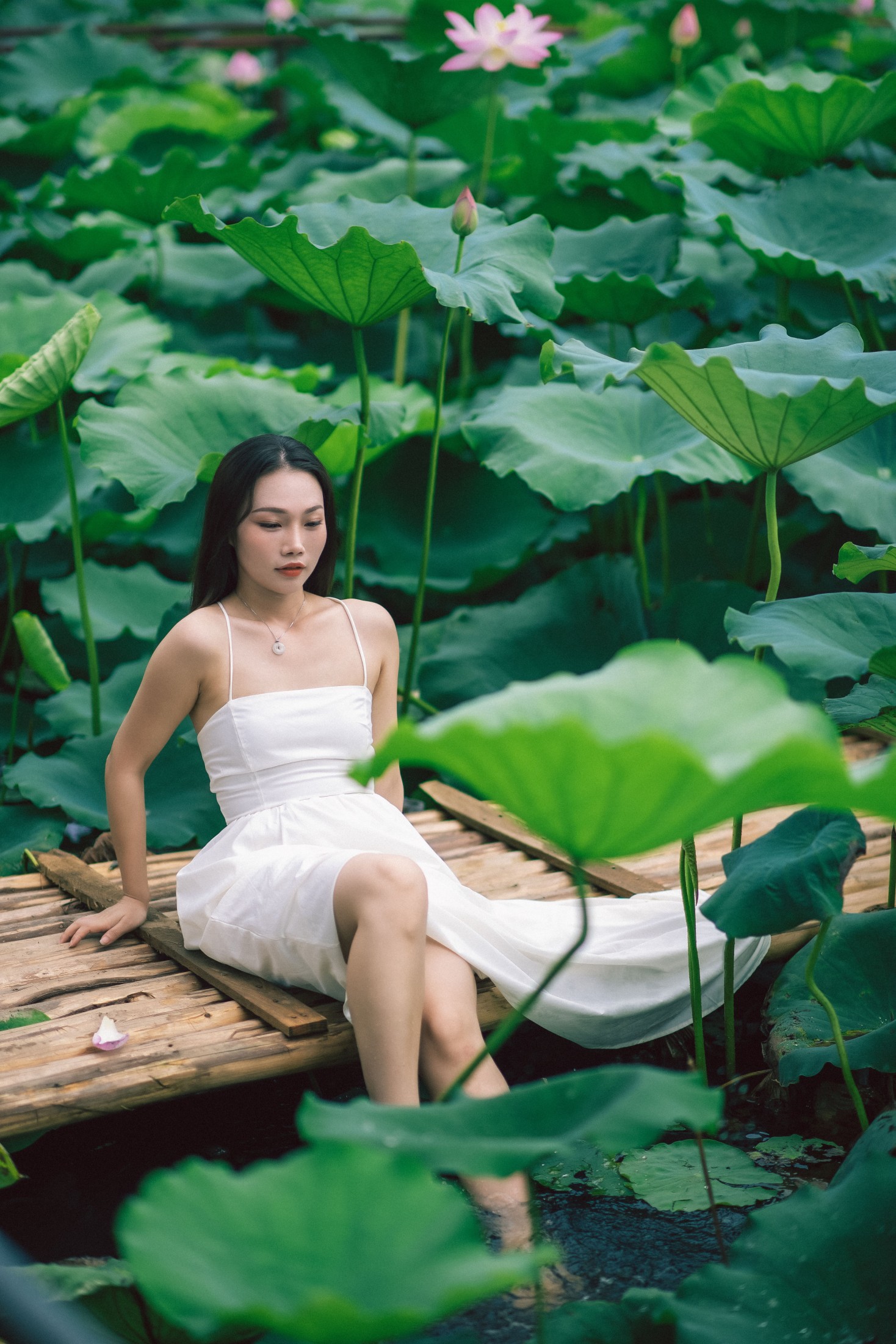 橘子 – 《雨荷》[26P]