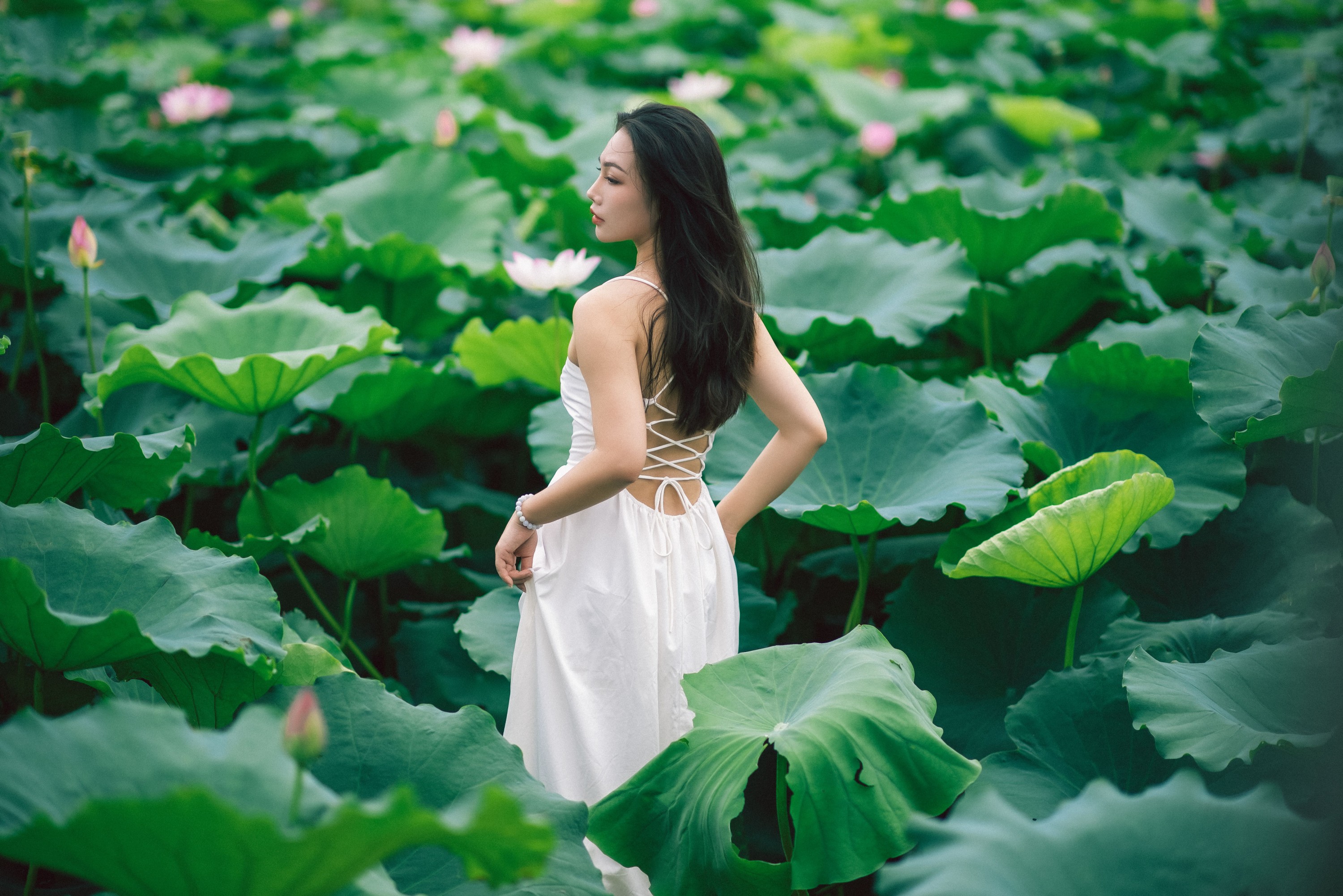 橘子 – 《雨荷》[26P]