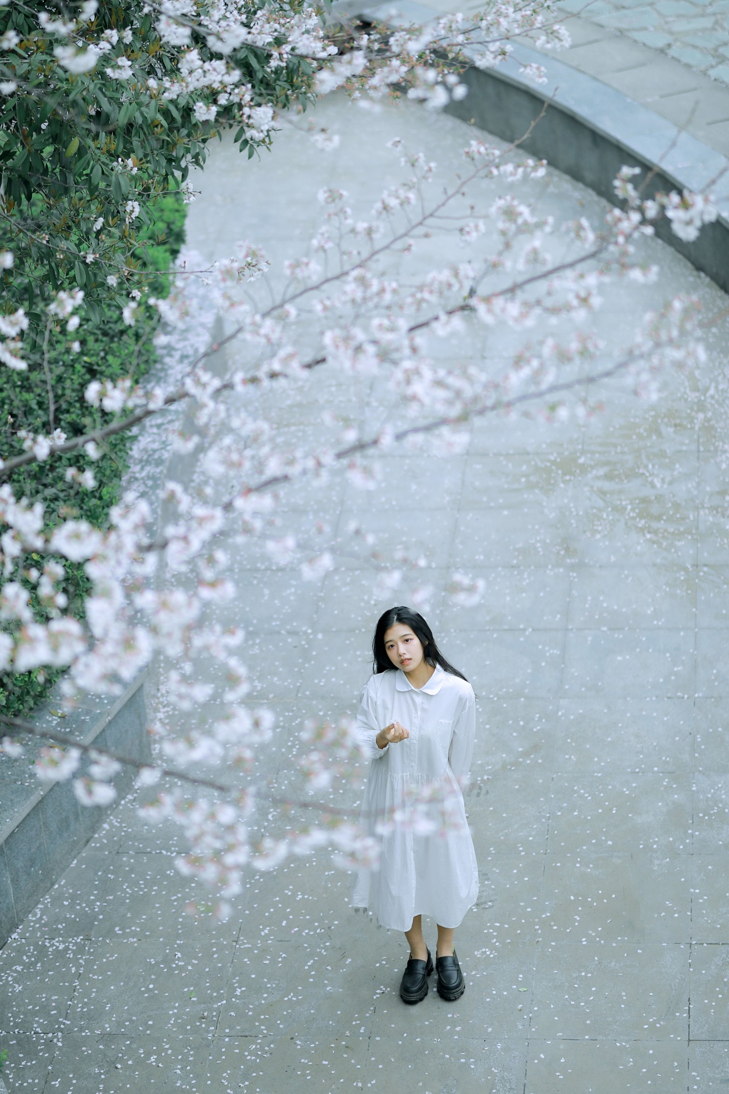 龙星儿 – 《樱花少女》[30P]