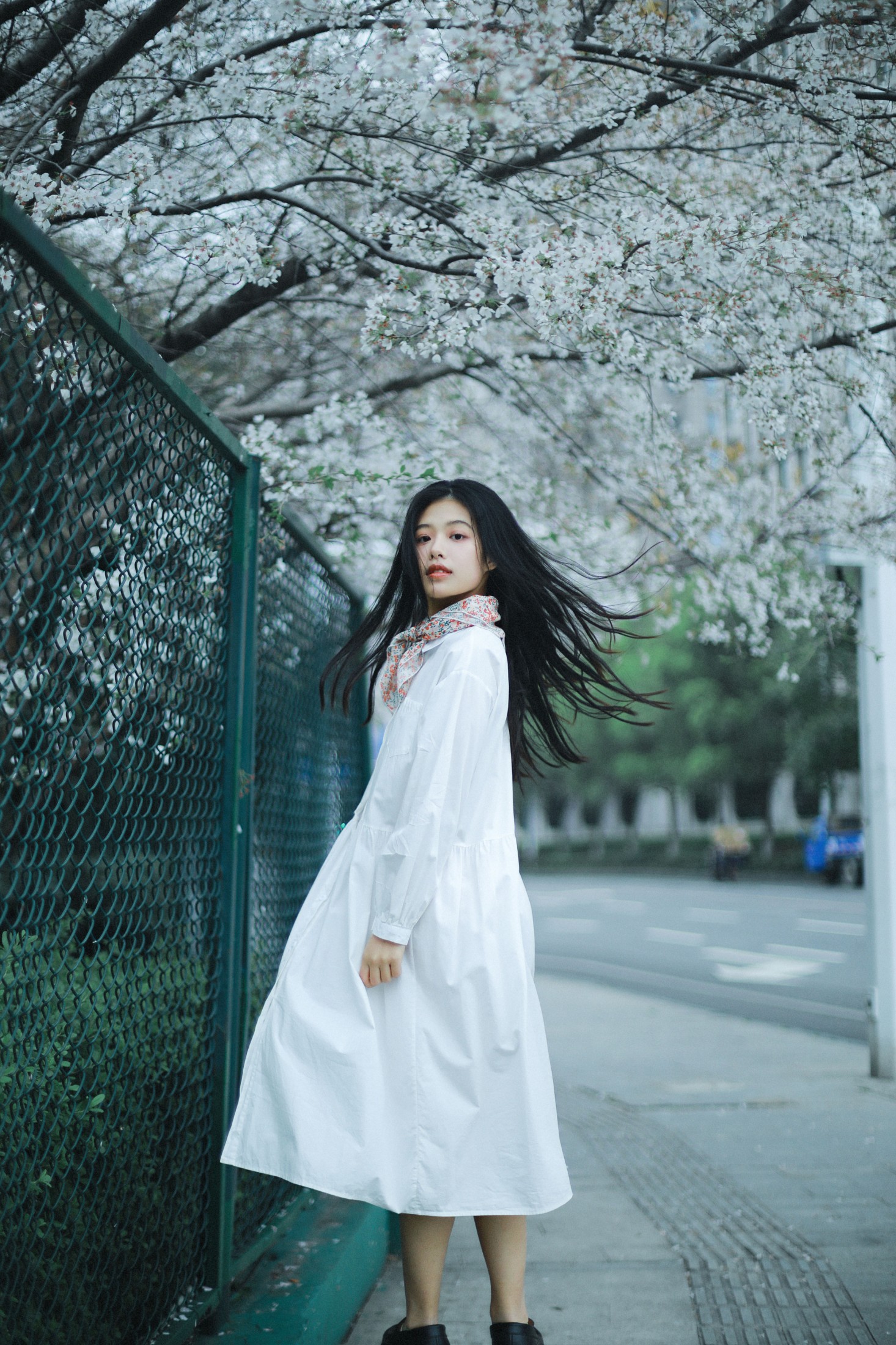 龙星儿 – 《樱花少女》[30P]