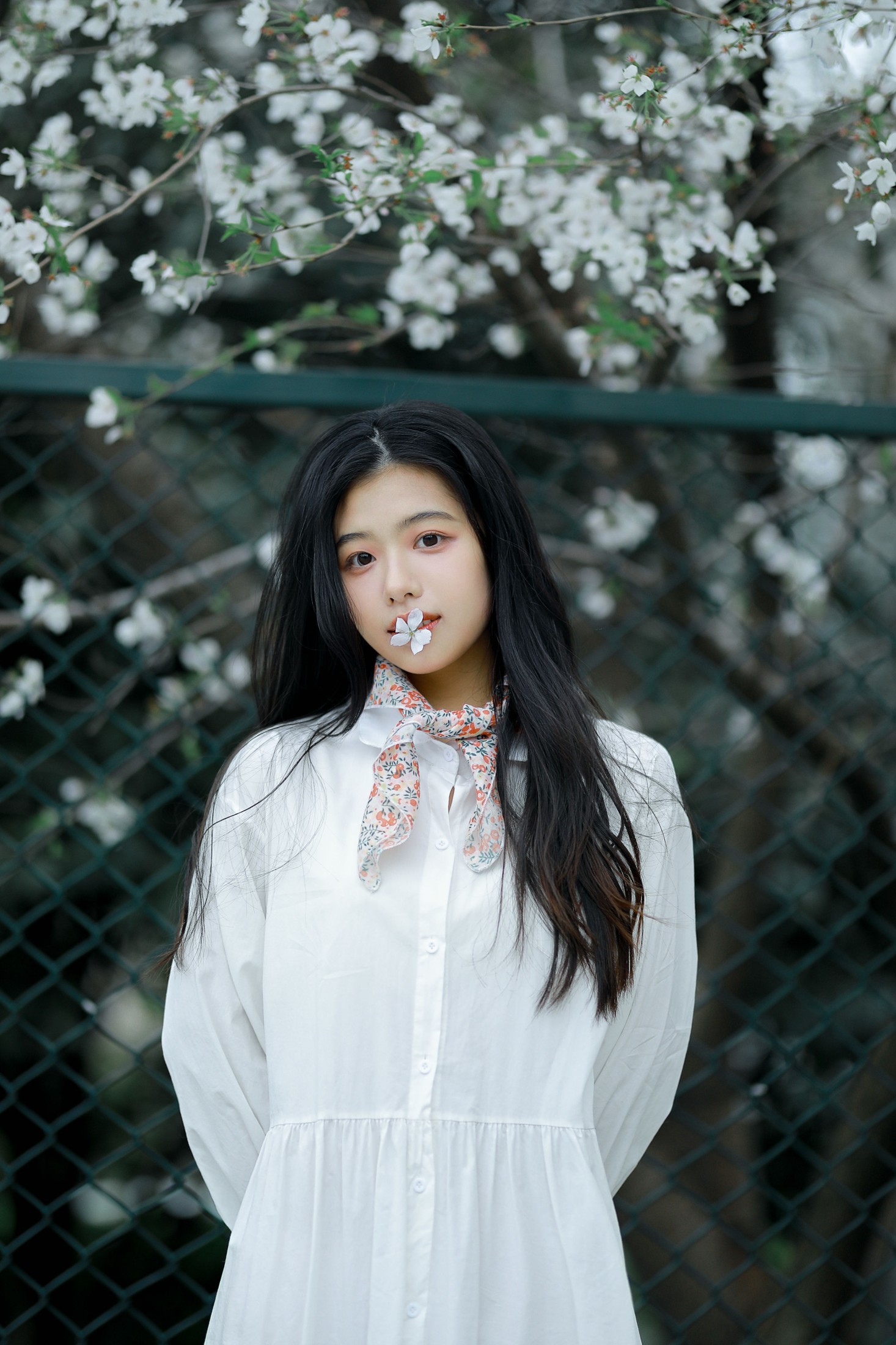 龙星儿 – 《樱花少女》[30P]