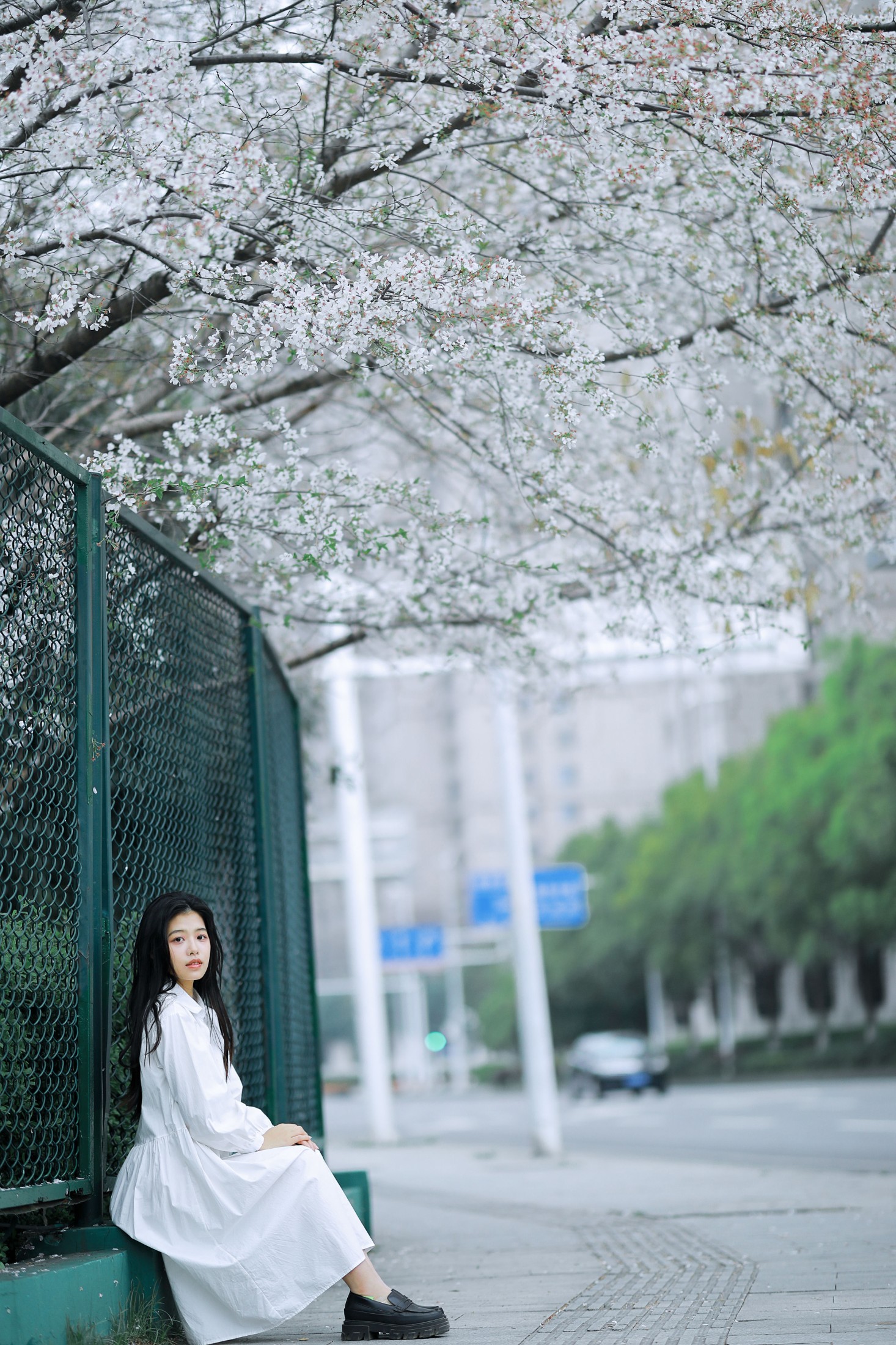 龙星儿 – 《樱花少女》[30P]