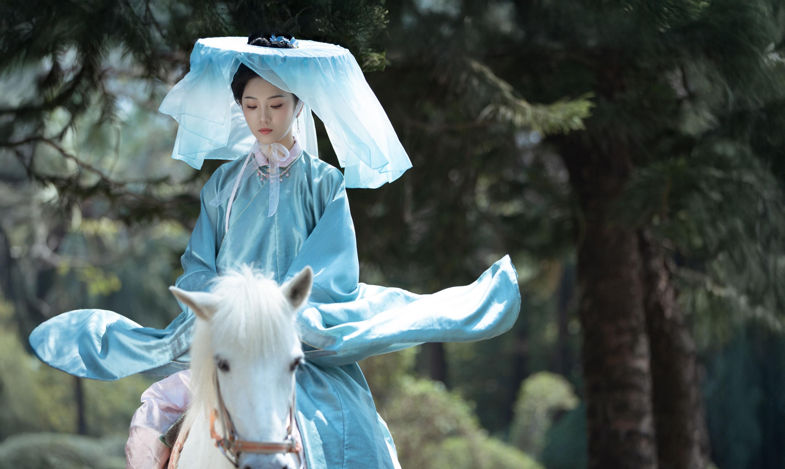 芝芝琪 – 《雁回时 庄寒雁仿妆》[30P]