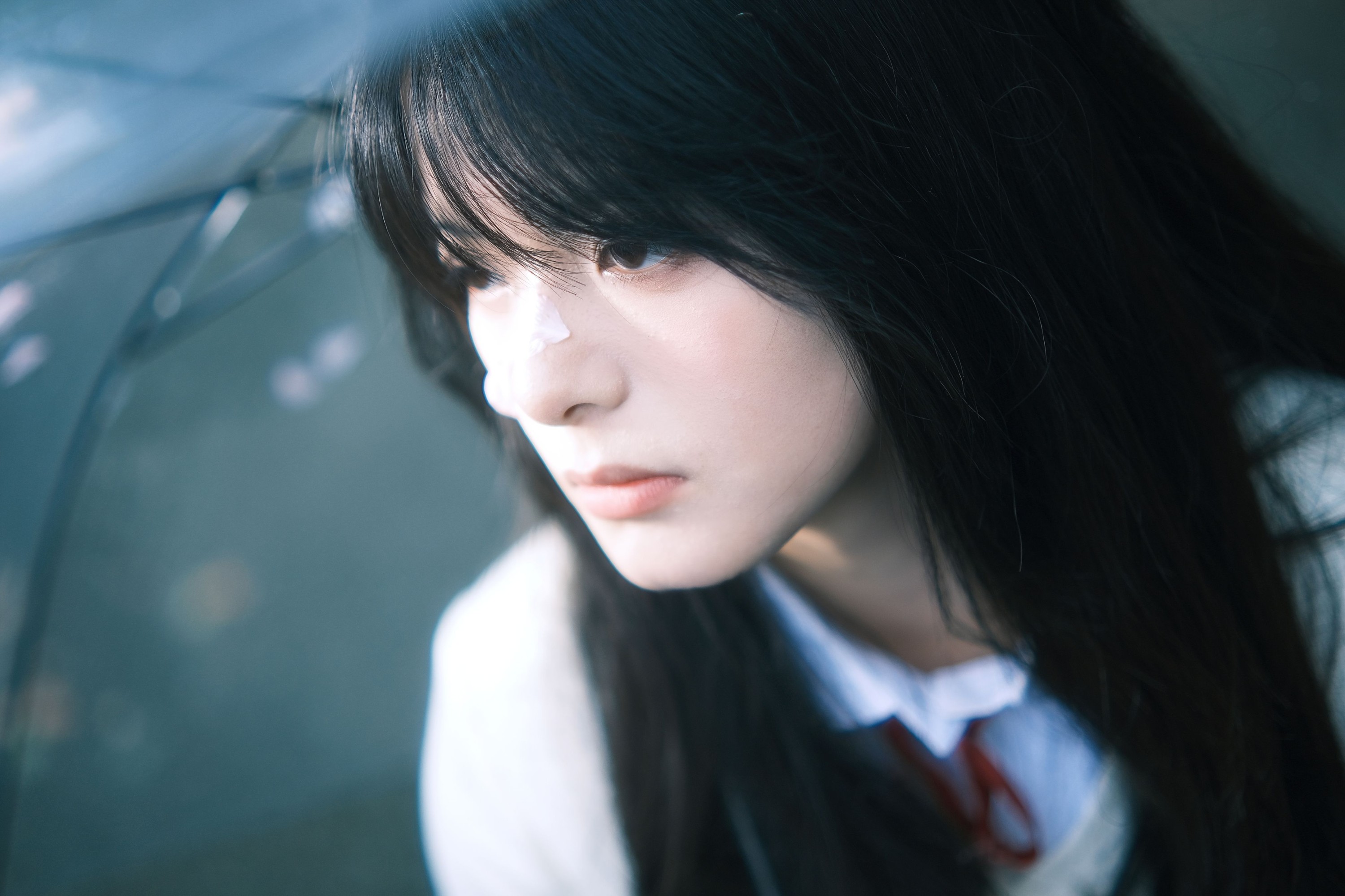 小情 – 《你的春天》[23P]