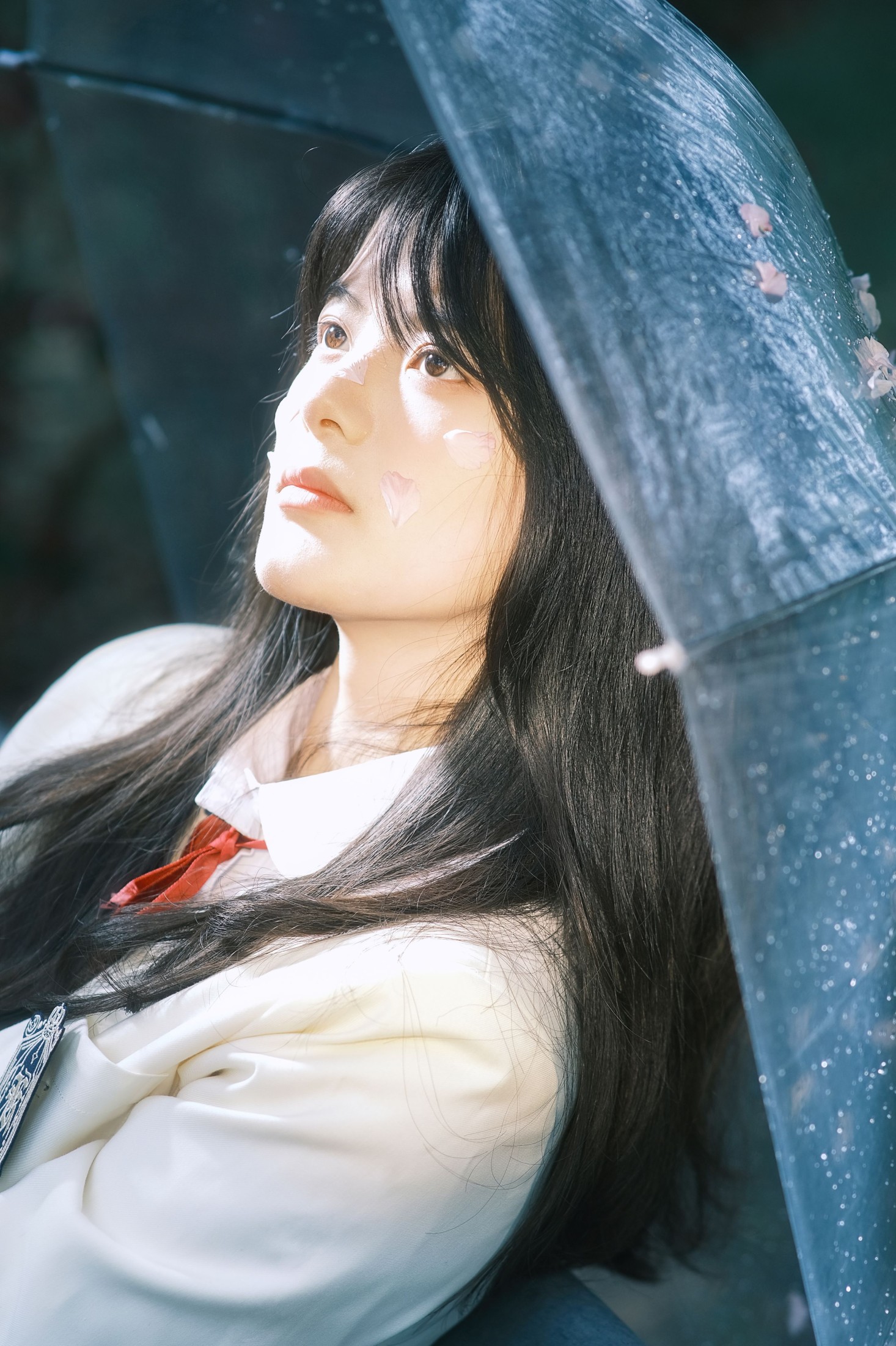 小情 – 《你的春天》[23P]