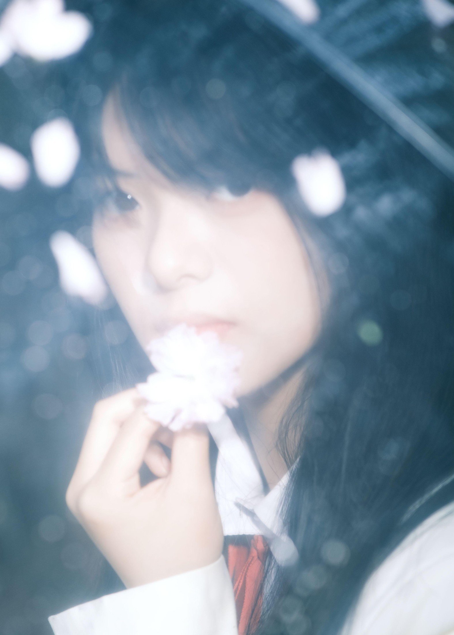 小情 – 《你的春天》[23P]