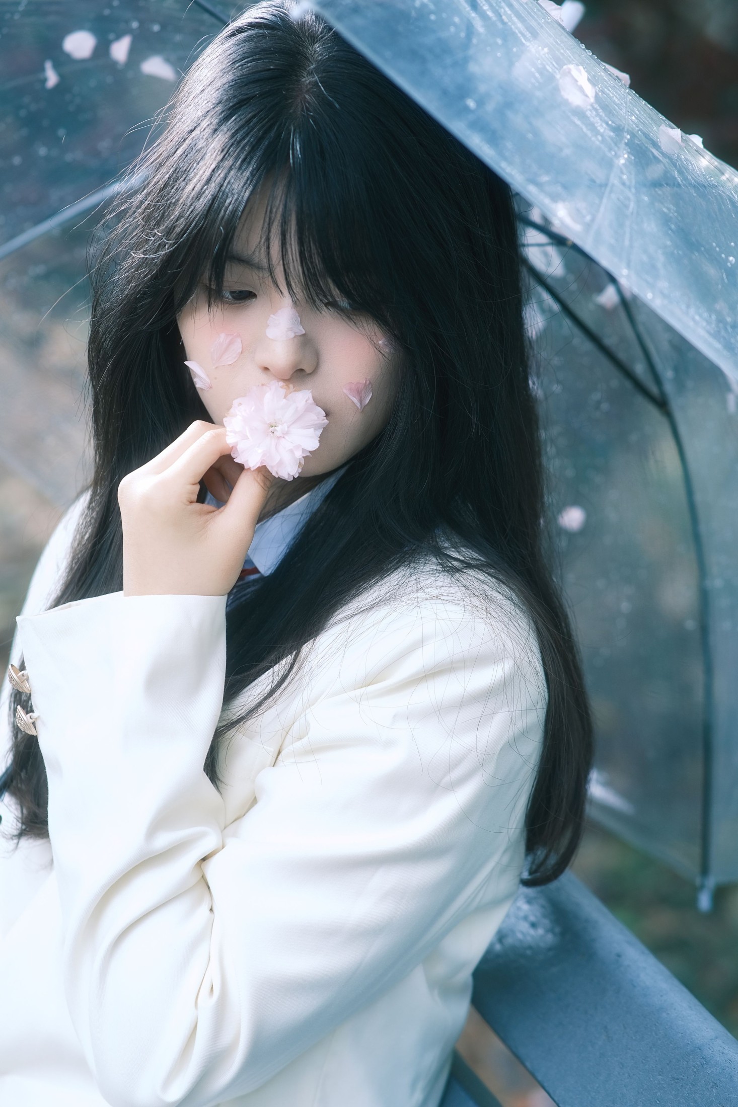 小情 – 《你的春天》[23P]