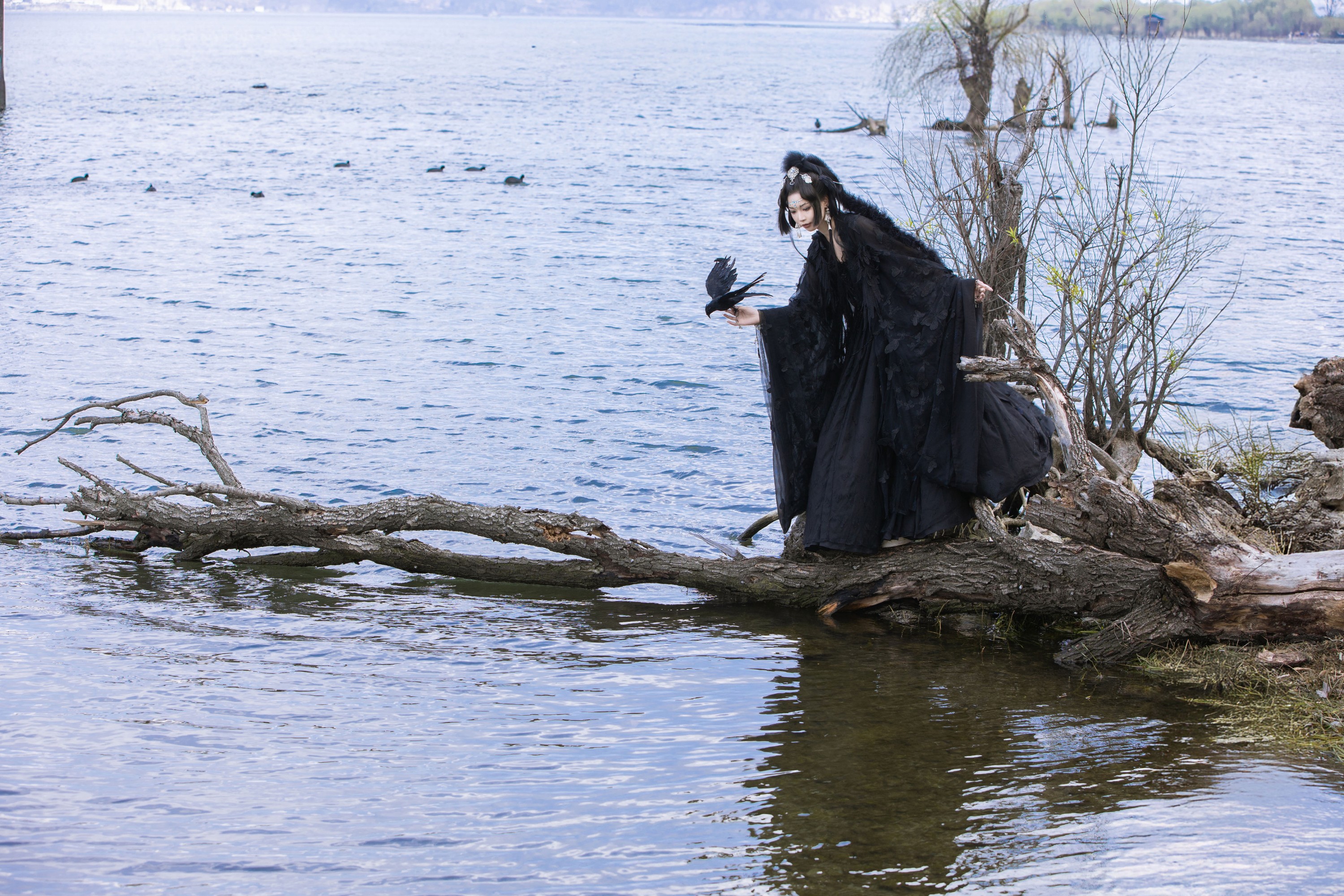 薛薛 – 《乌鸦拟人》[35P]