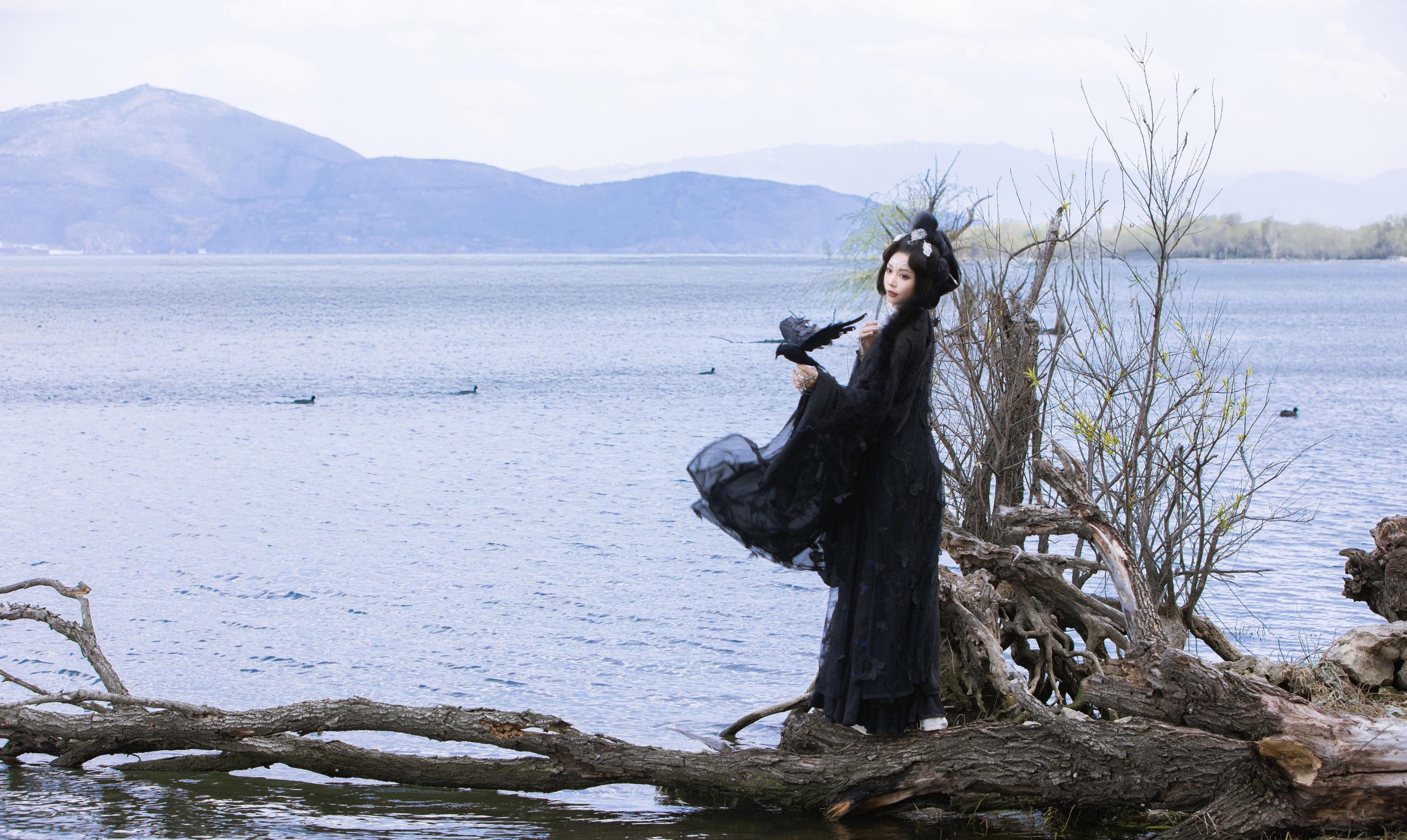 薛薛 – 《乌鸦拟人》[35P]