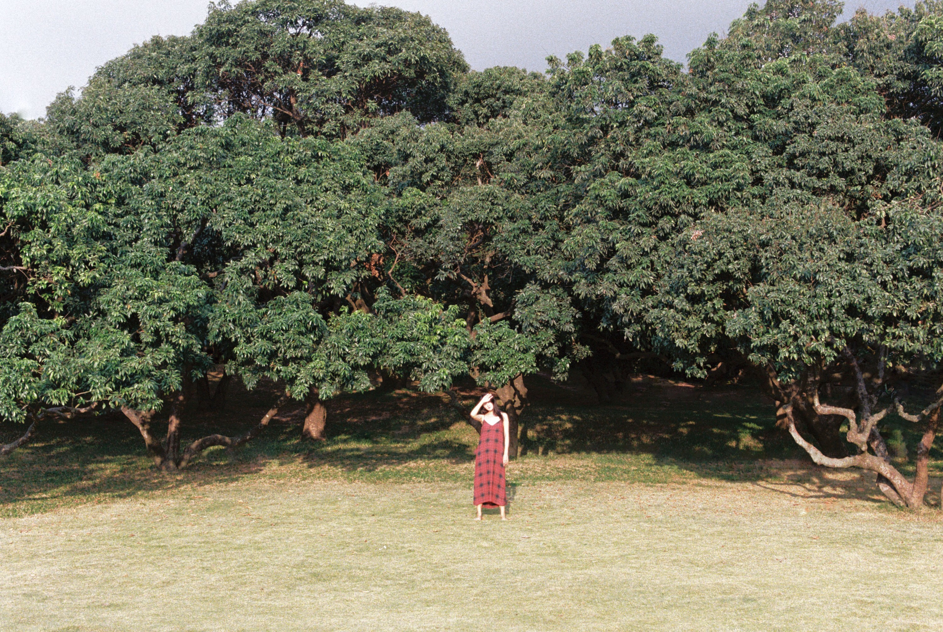 雪莉 – 《11月结束之前》[25P]