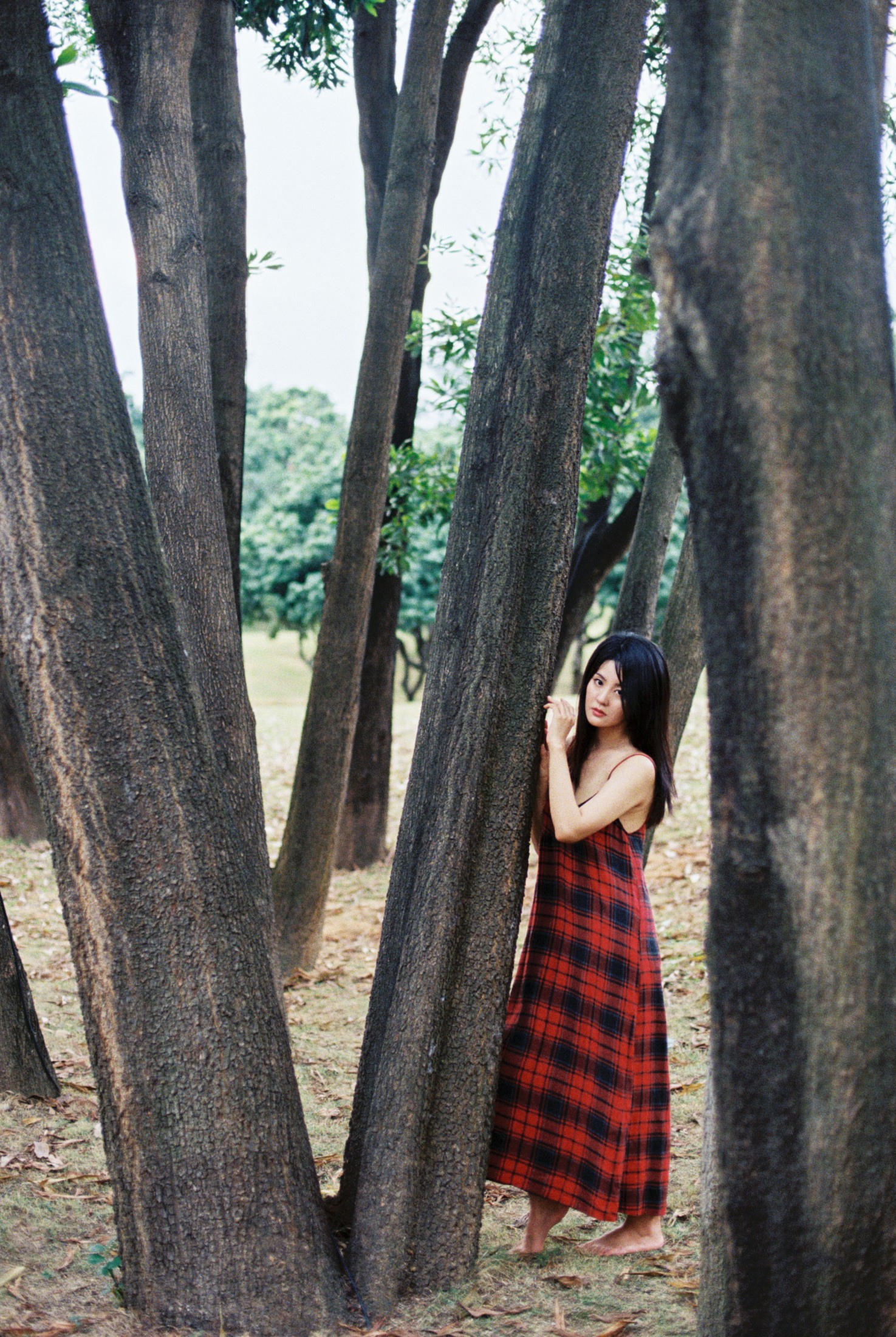 雪莉 – 《11月结束之前》[25P]