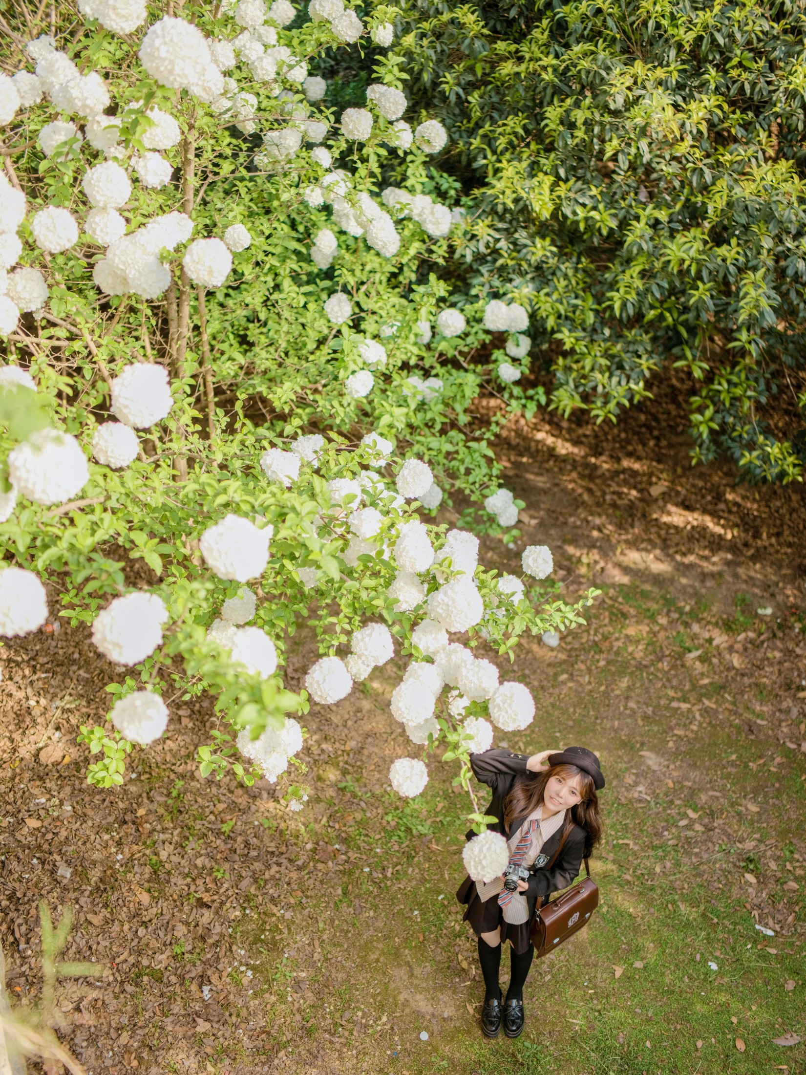 元元 – 《静待花开》[23P]