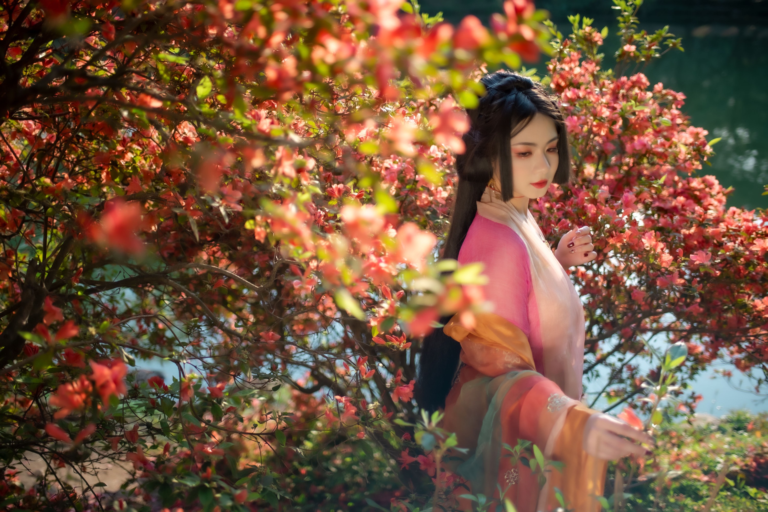 零基础的米团 – 《锦瑟》[24P]