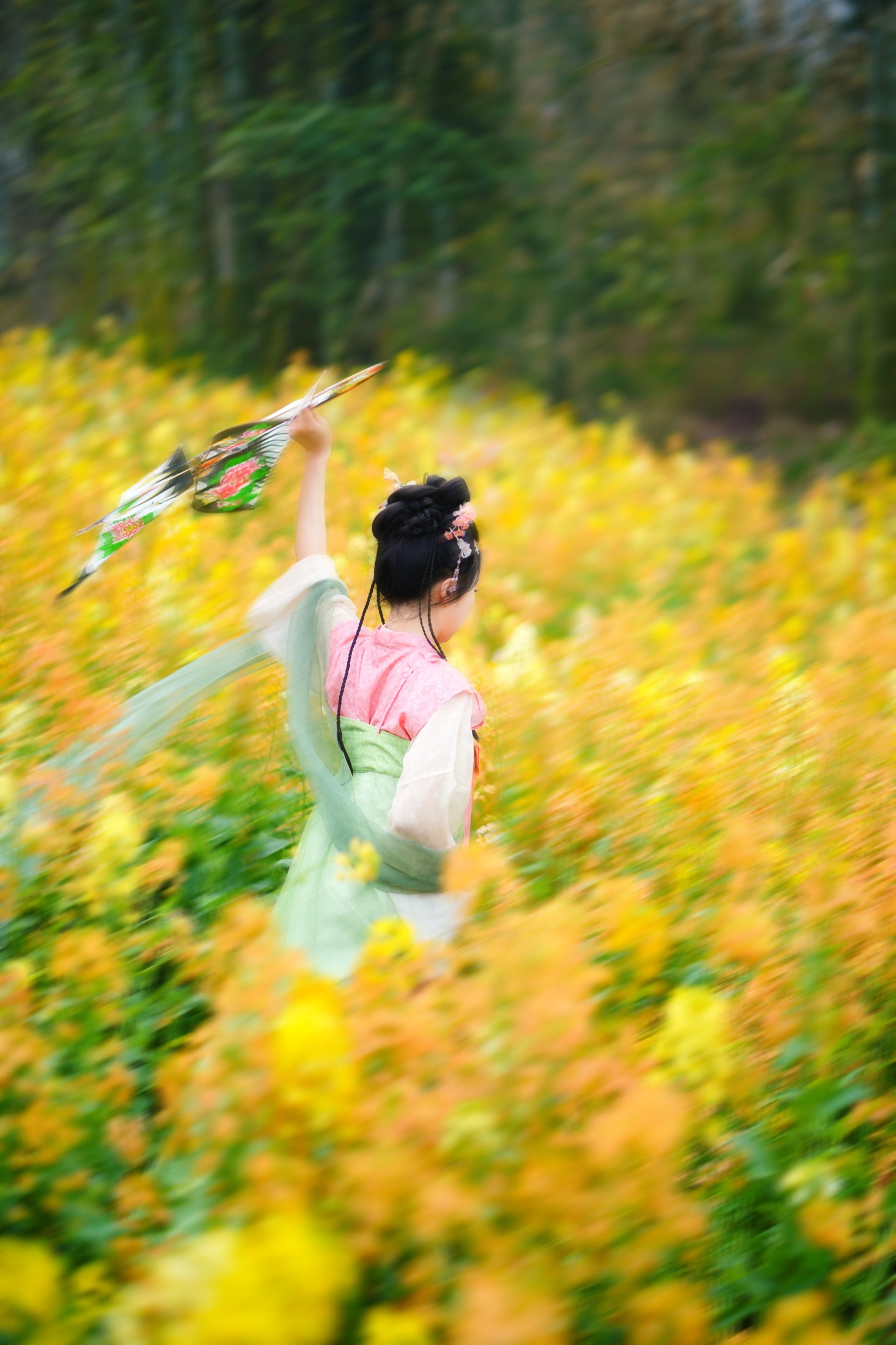 兔牙w – 《油菜》[14P]