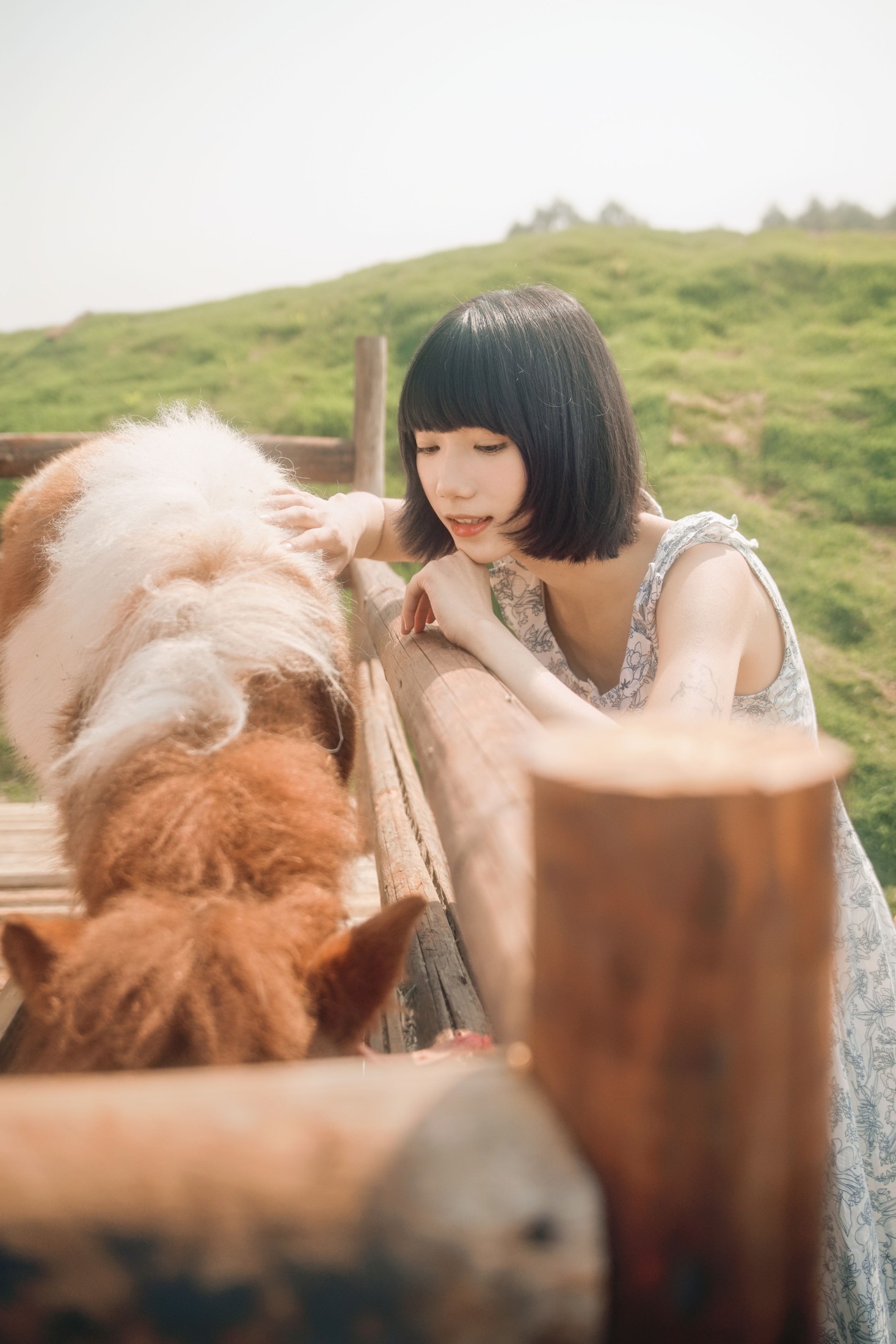 特特 – 《马房童话》[50P]