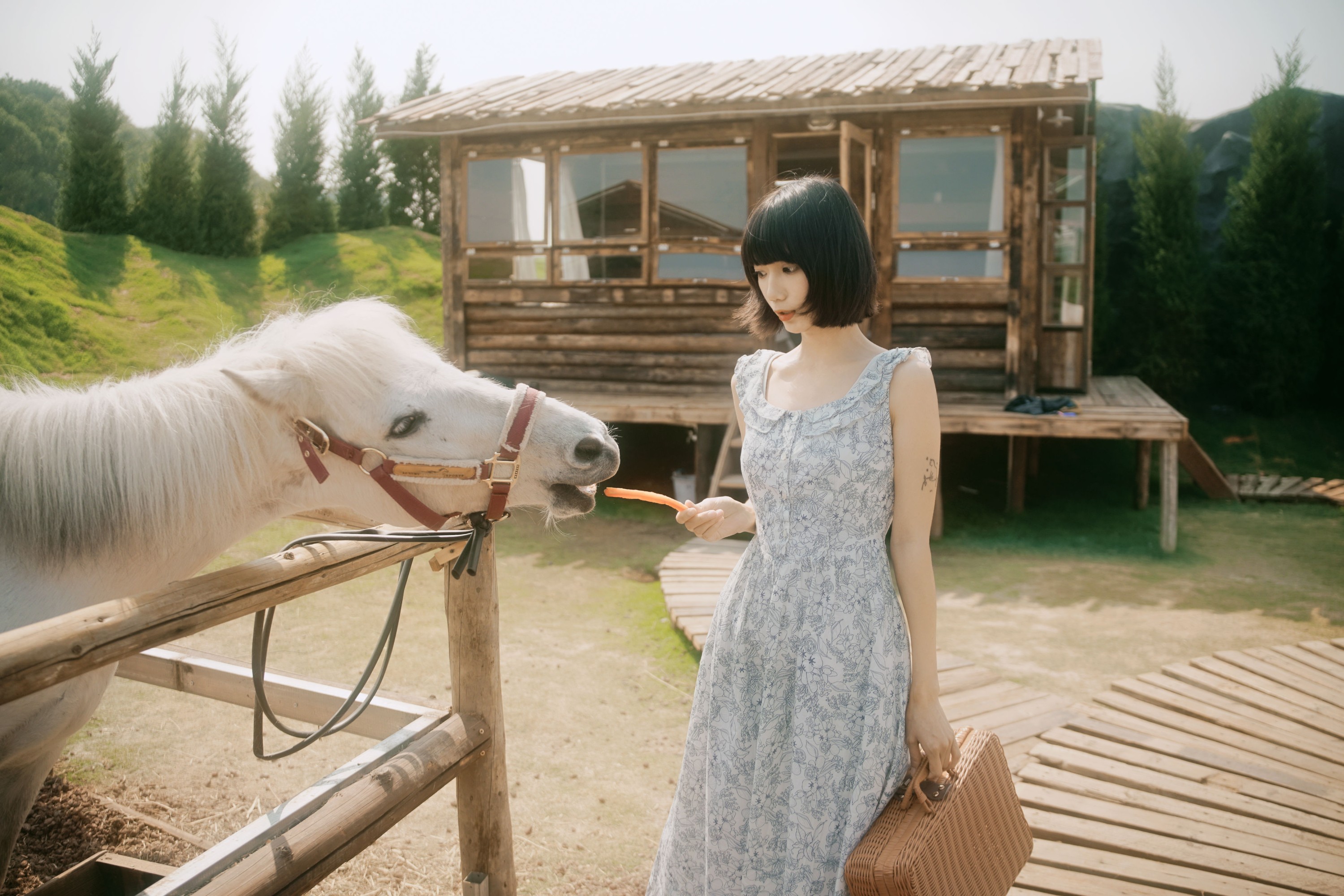 特特 – 《马房童话》[50P]