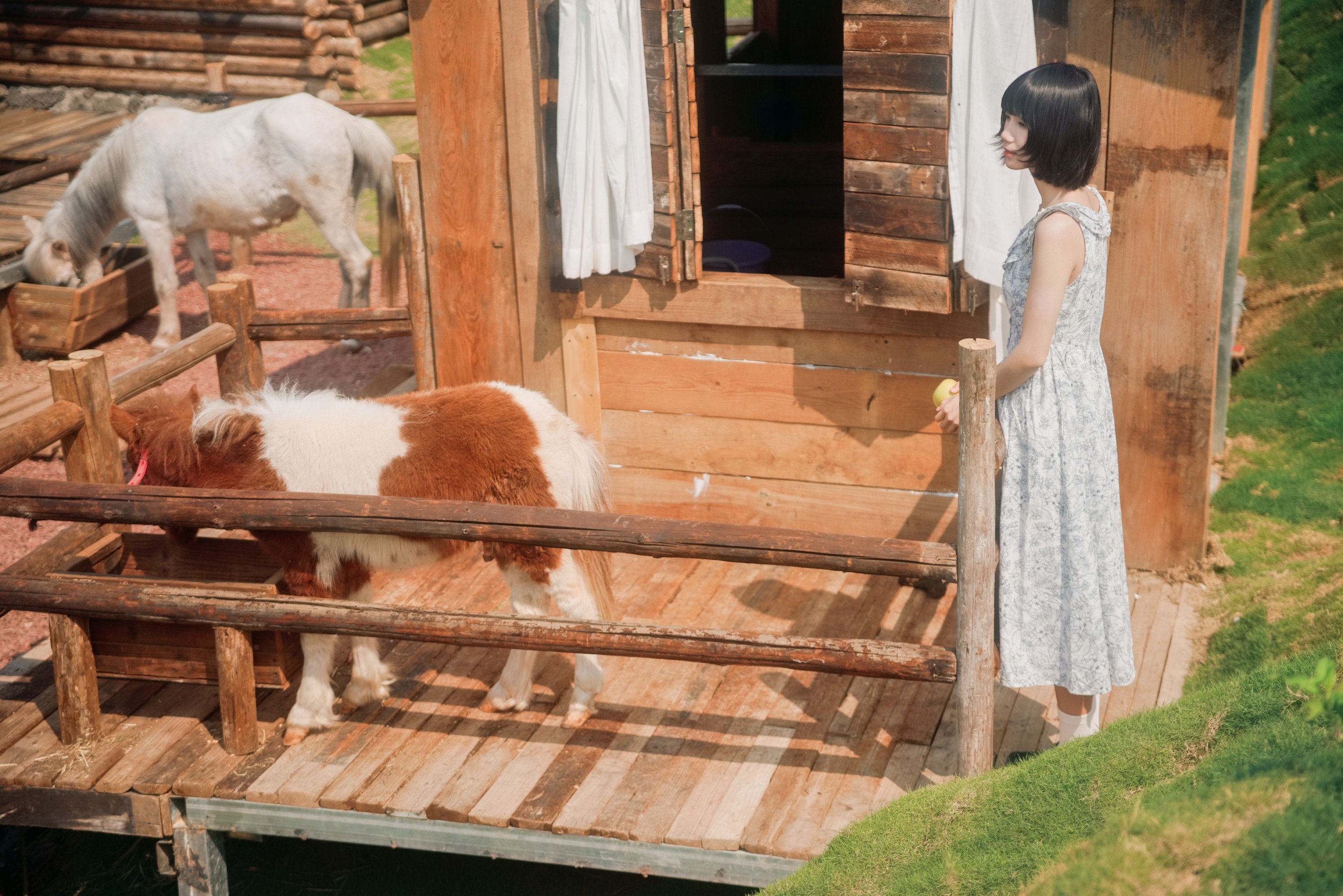 特特 – 《马房童话》[50P]