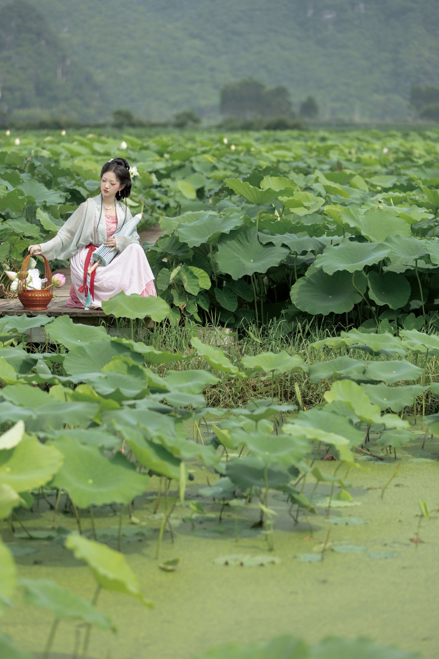 莹莹 – 《如梦令》[33P]