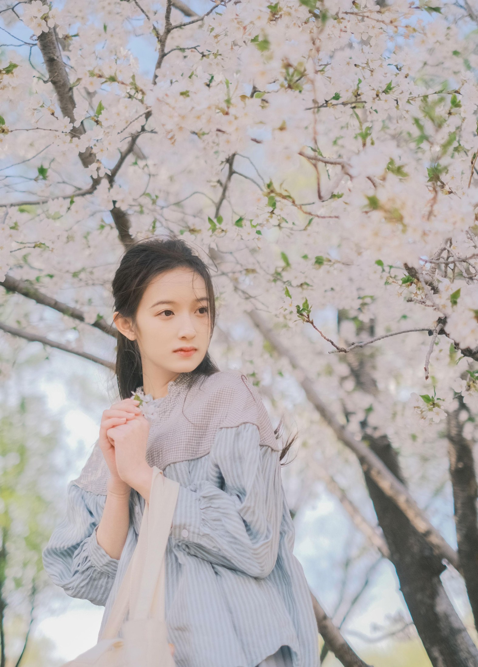 彤 – 《春日信》[30P]