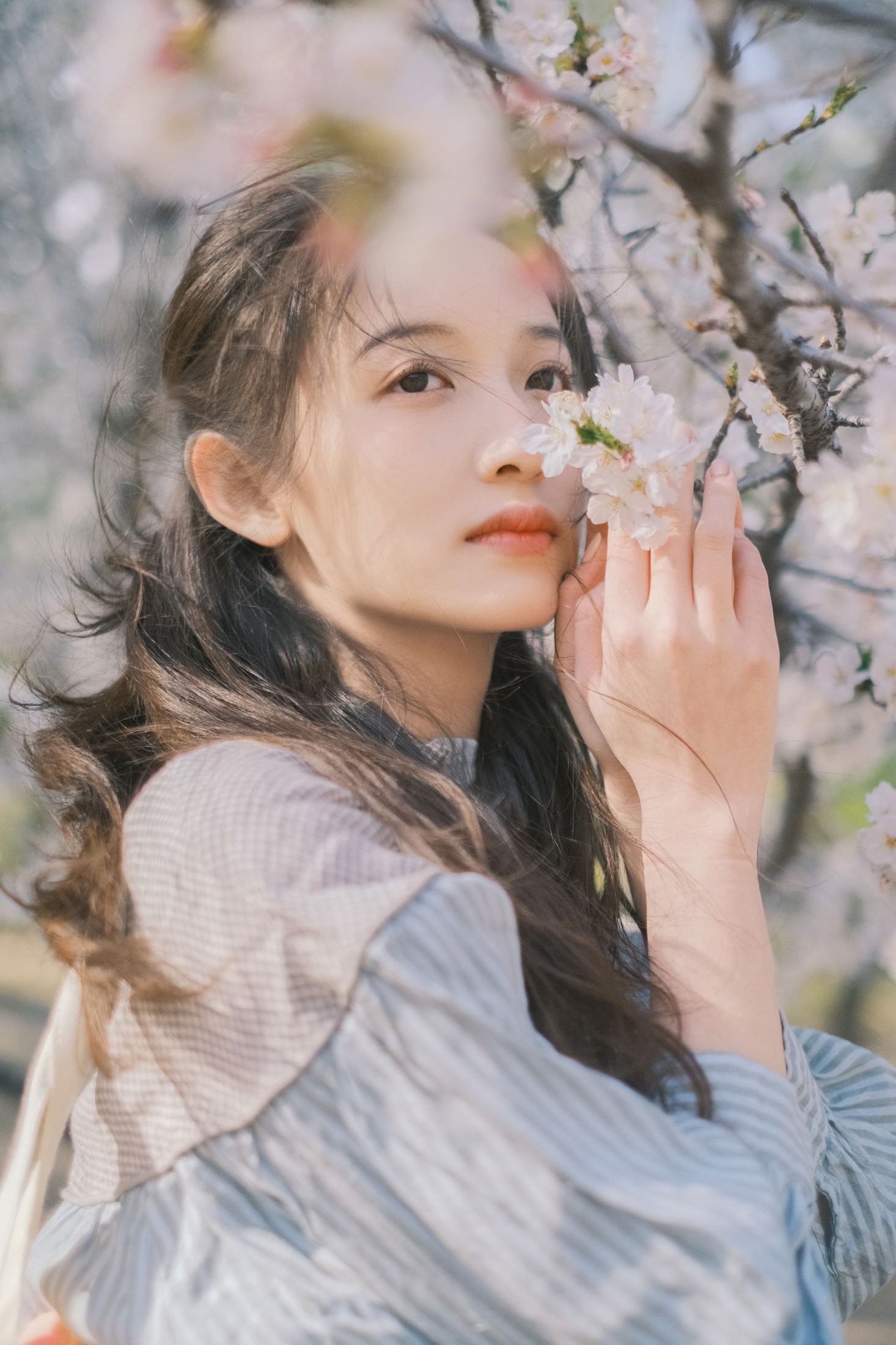 彤 – 《春日信》[30P]