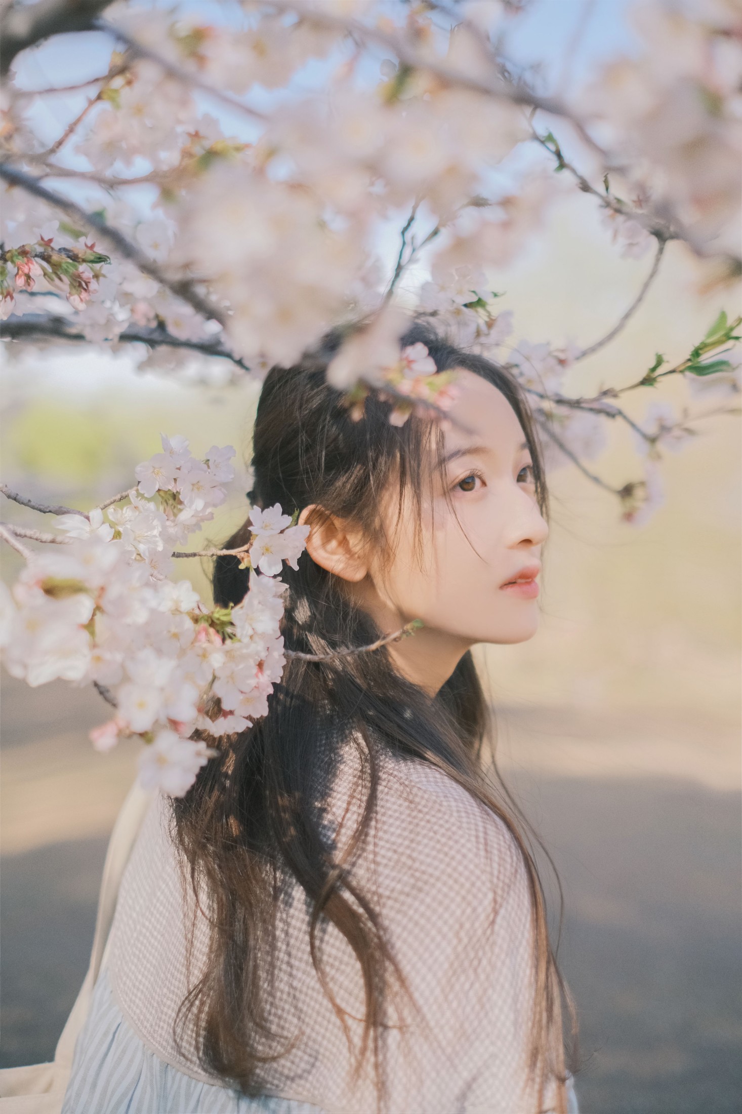 彤 – 《春日信》[30P]