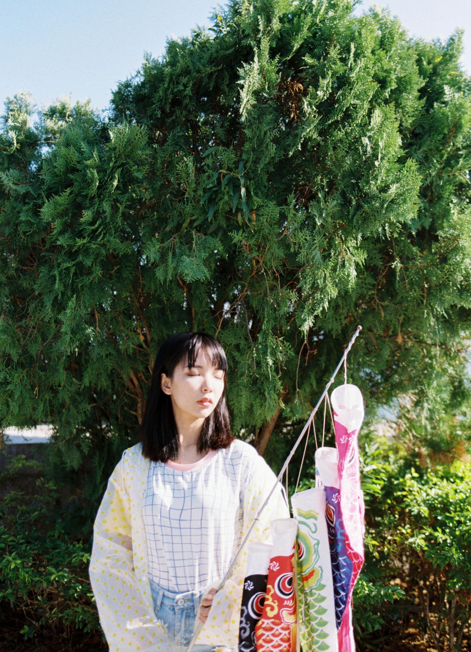 妍子坚不可摧 – 《青空之鲤》[13P]