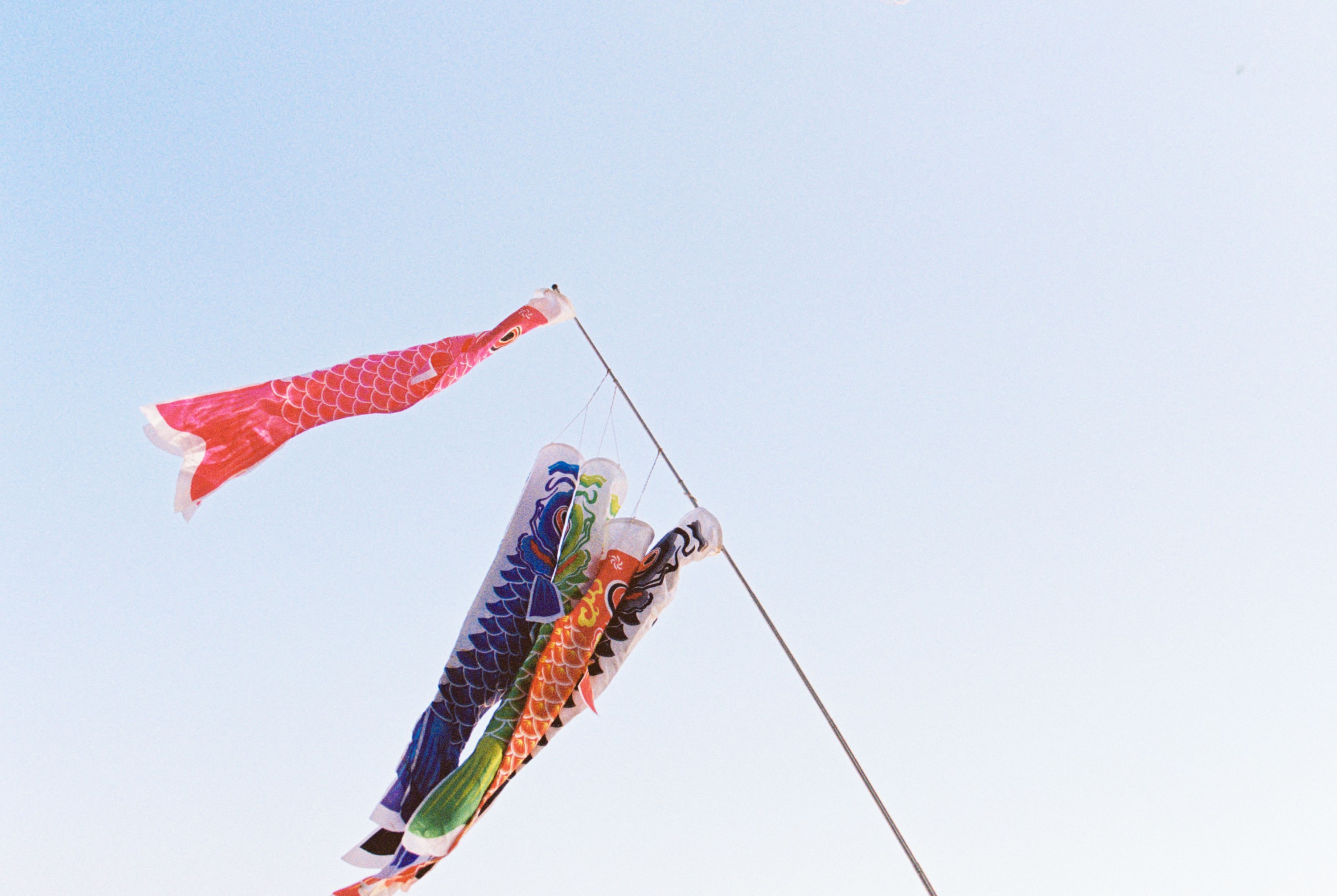 妍子坚不可摧 – 《青空之鲤》[13P]